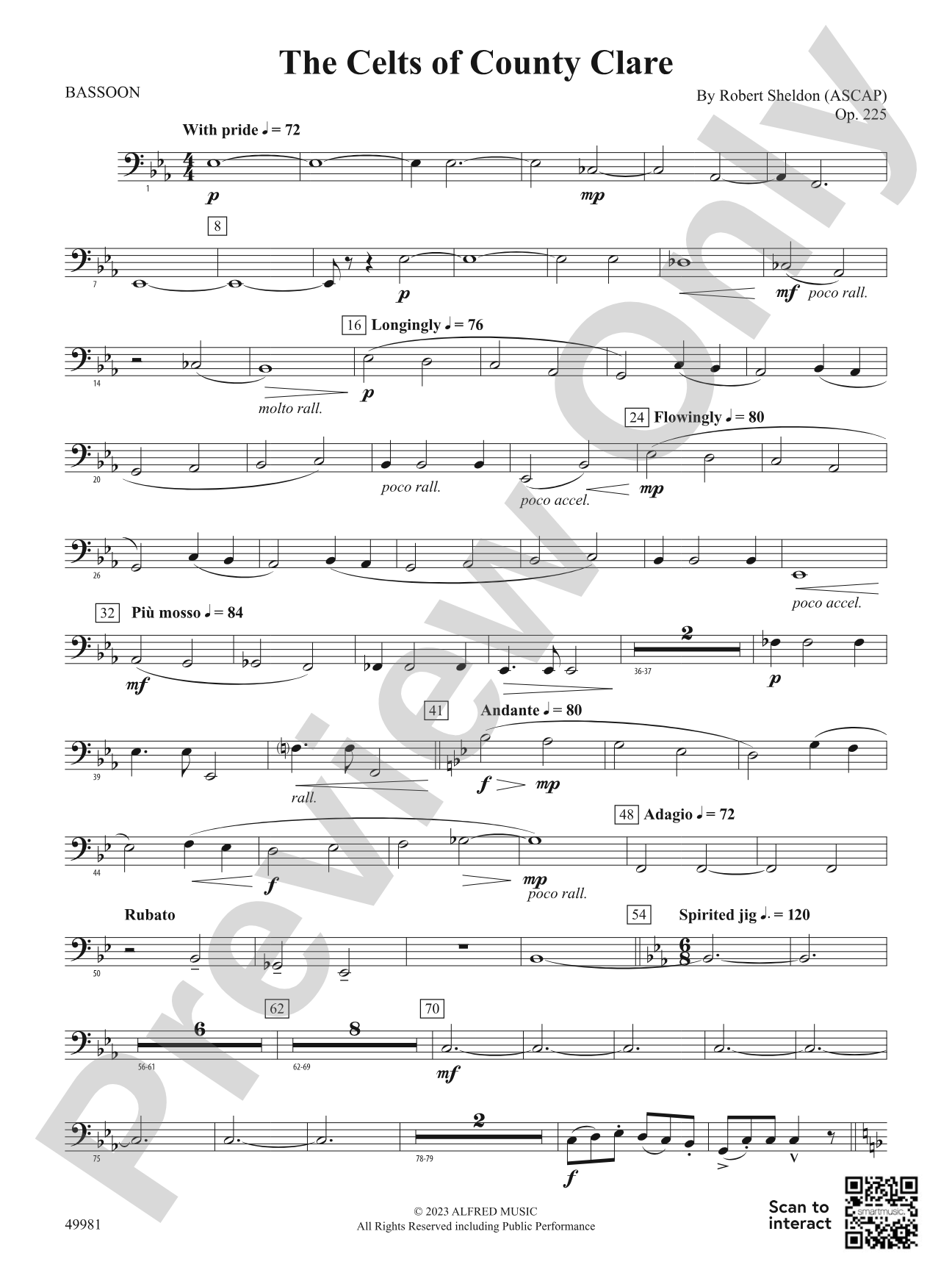 The Celts of County Clare: Bassoon