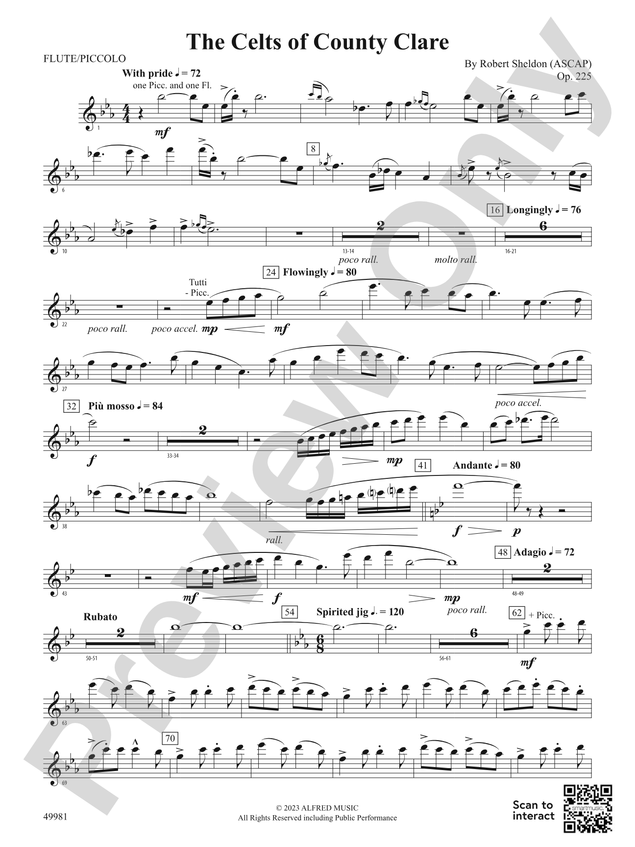 The Celts of County Clare: Flute