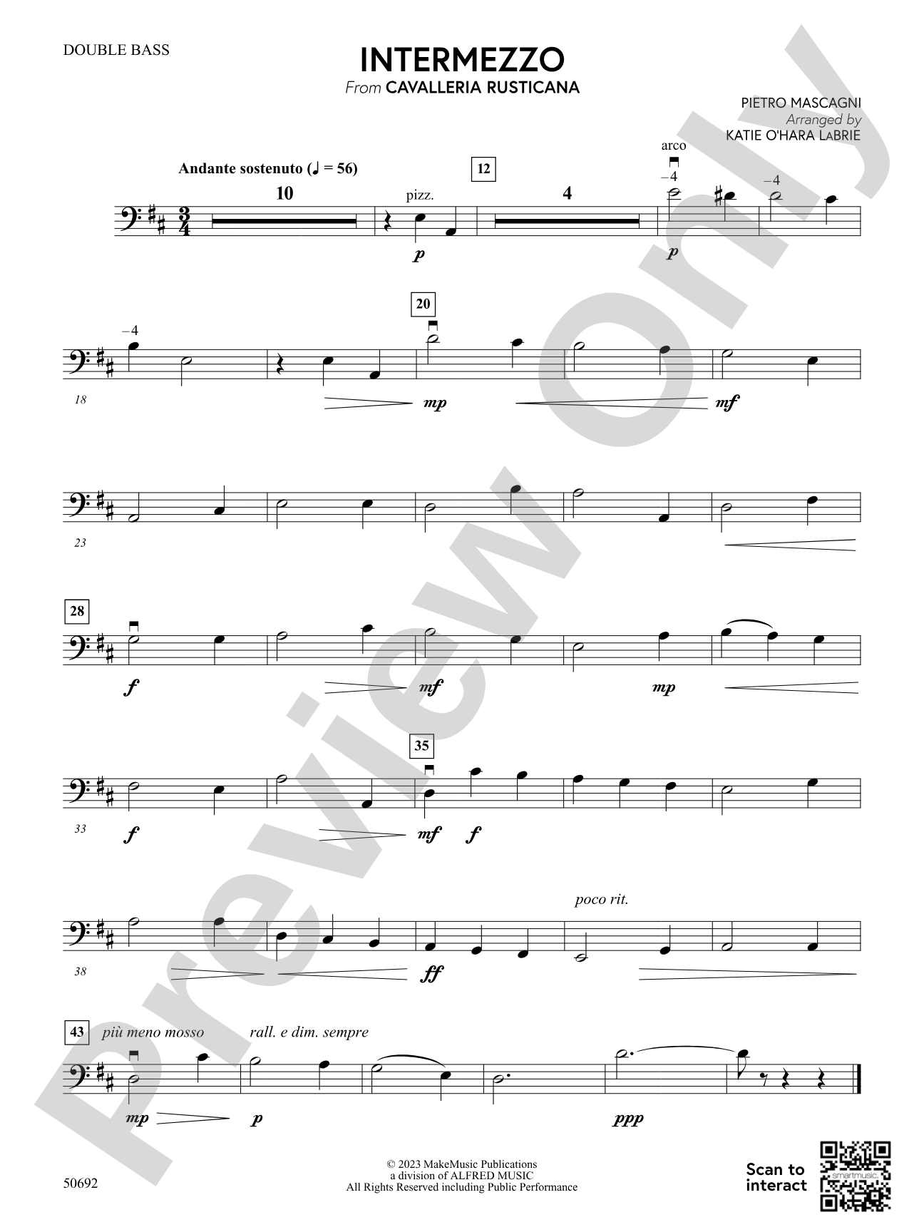 Intermezzo: String Bass