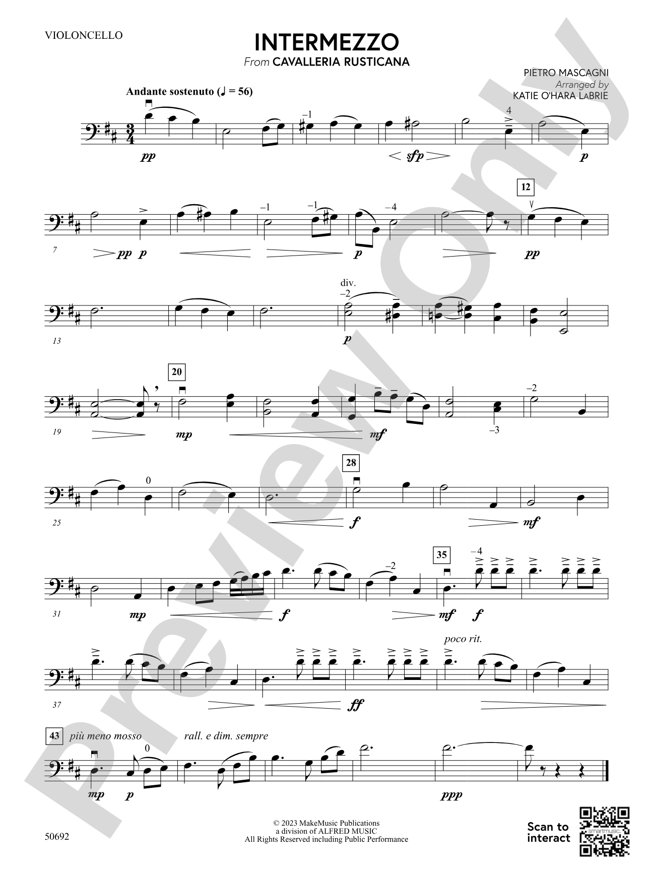 Intermezzo: Cello