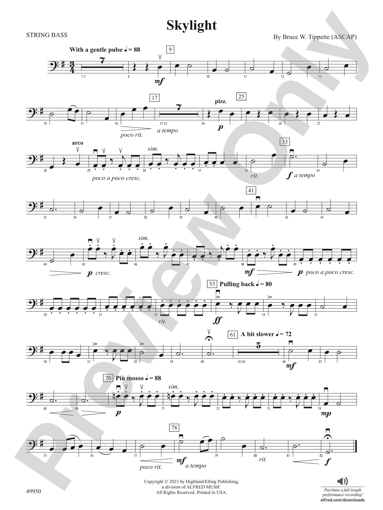 Skylight: String Bass