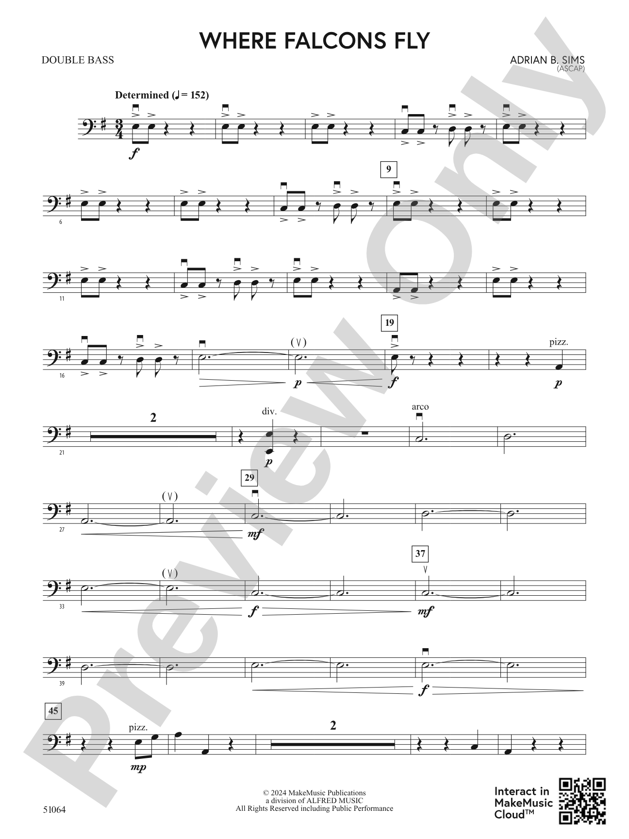 Where Falcons Fly: String Bass