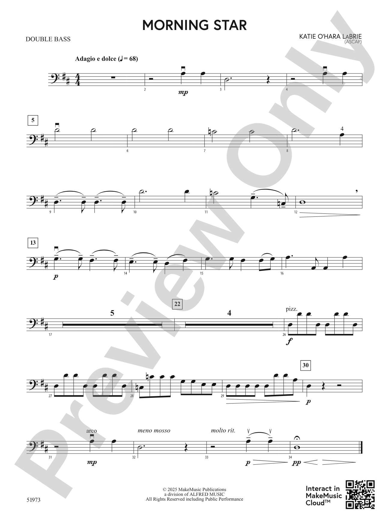 Morning Star: String Bass