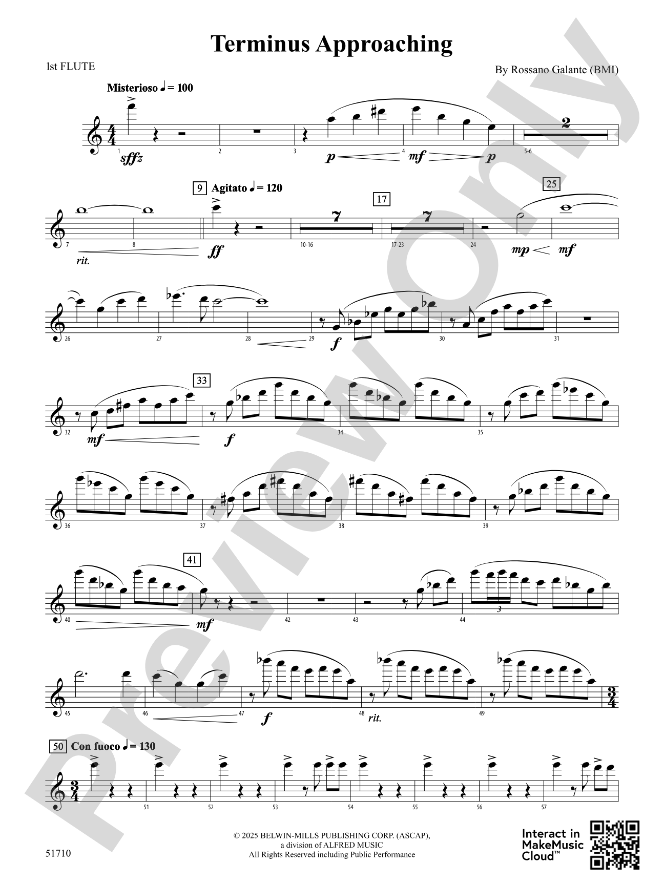 Terminus Approaching: Flute