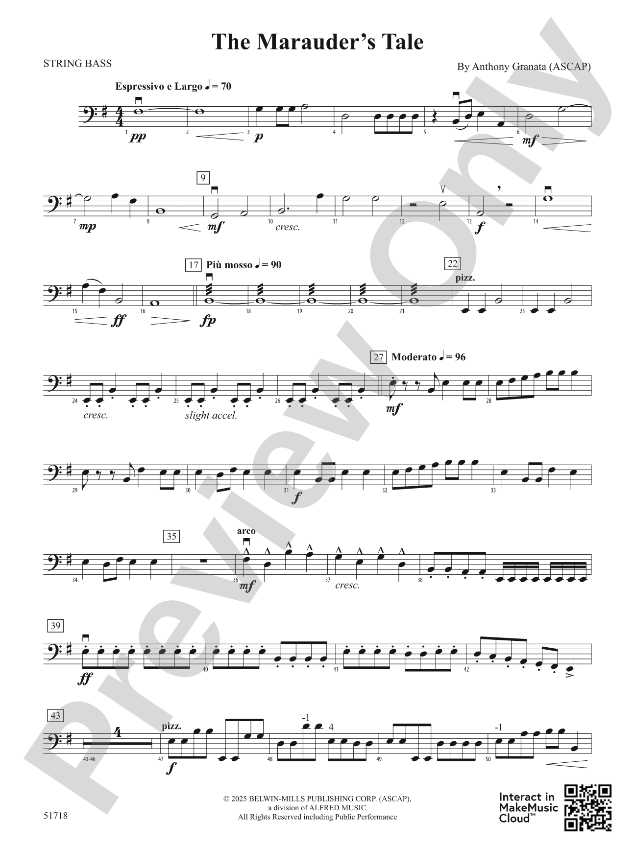 The Marauder's Tale: String Bass