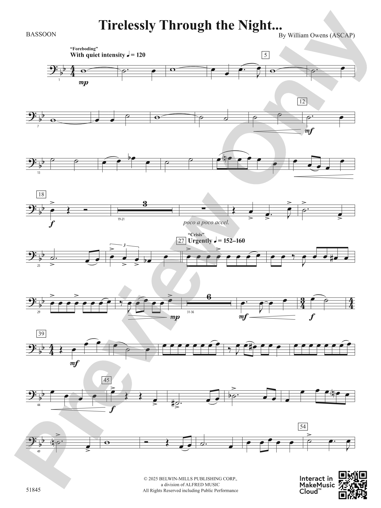 Tirelessly Through the Night...: Bassoon