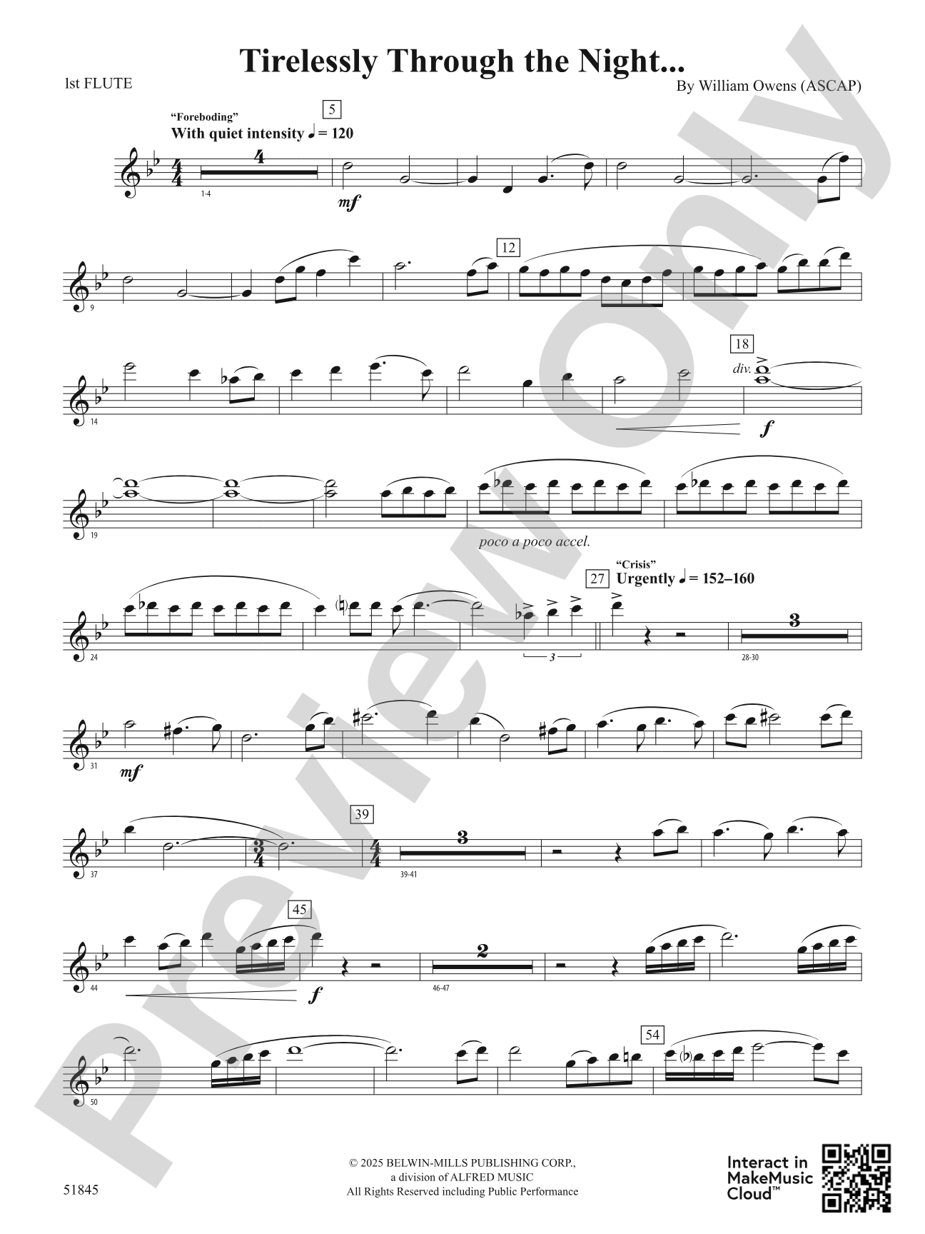 Tirelessly Through the Night...: Flute