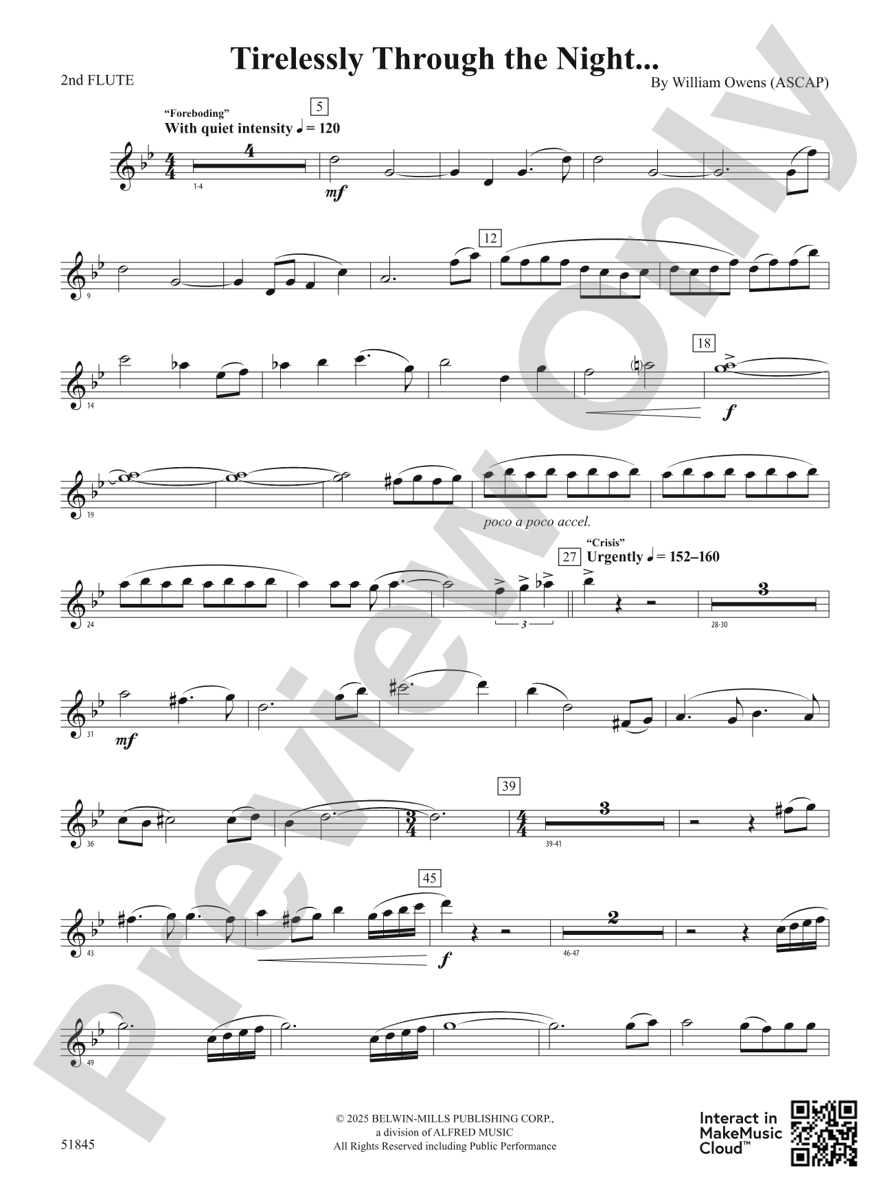Tirelessly Through the Night...: 2nd Flute