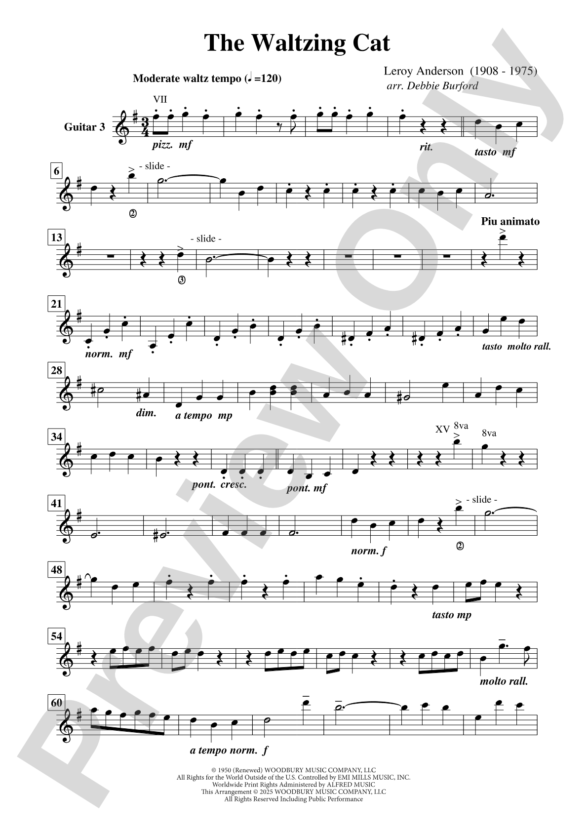 The Waltzing Cat: Guitar 3
