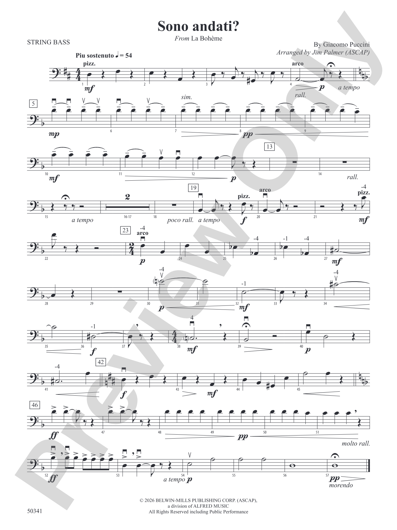 Sono andati?: String Bass