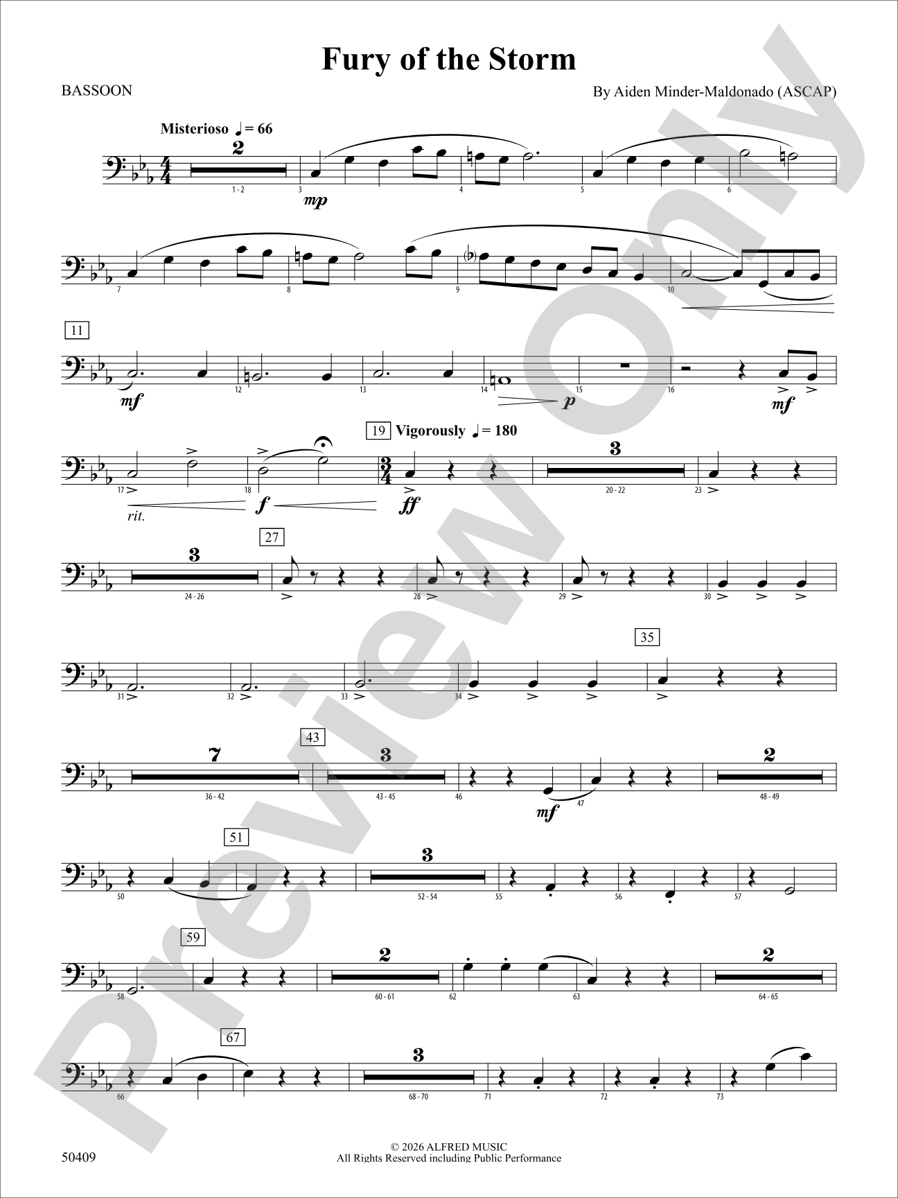 Fury of the Storm: Bassoon