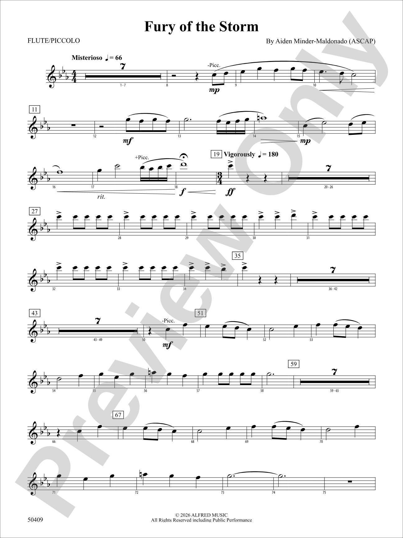 Fury of the Storm: Flute