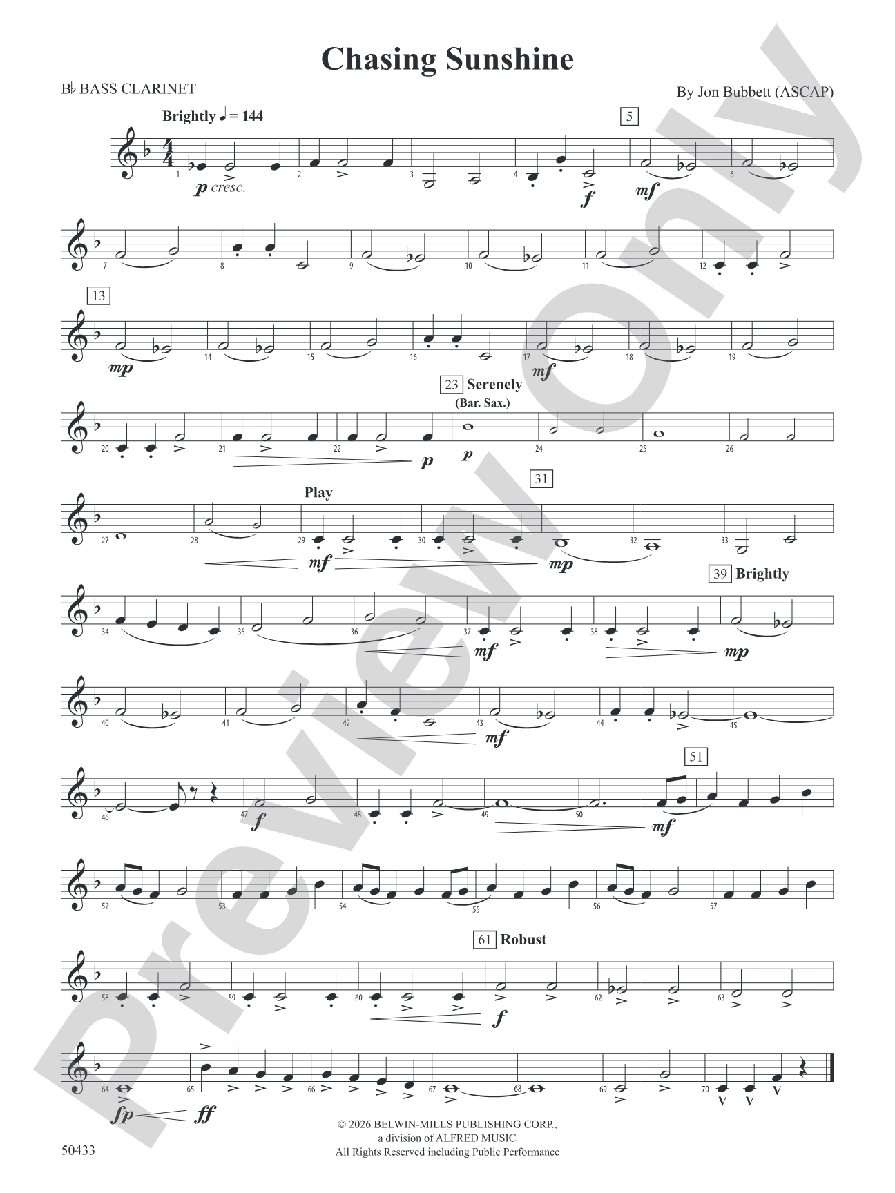 Chasing Sunshine: B-flat Bass Clarinet