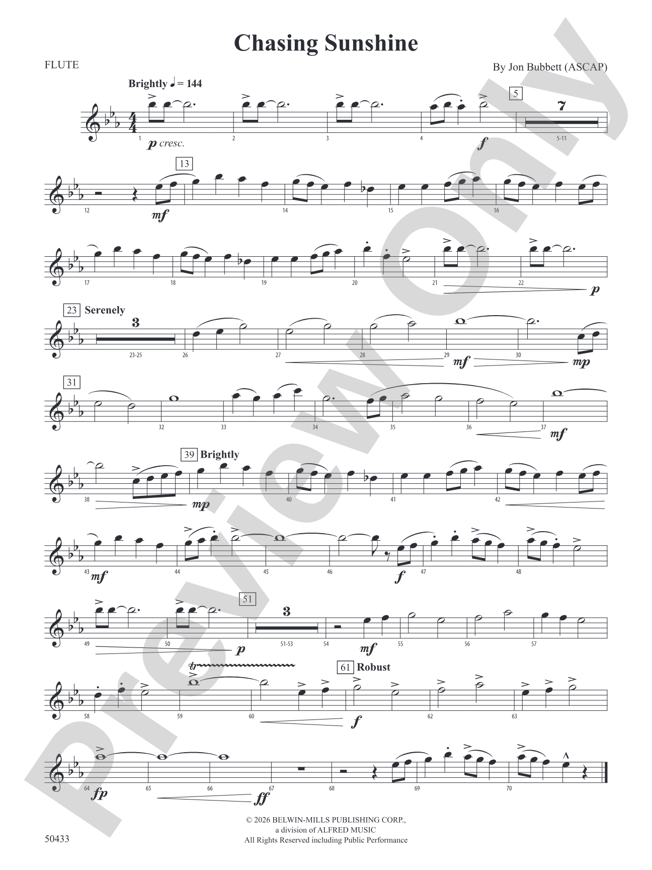 Chasing Sunshine: Flute