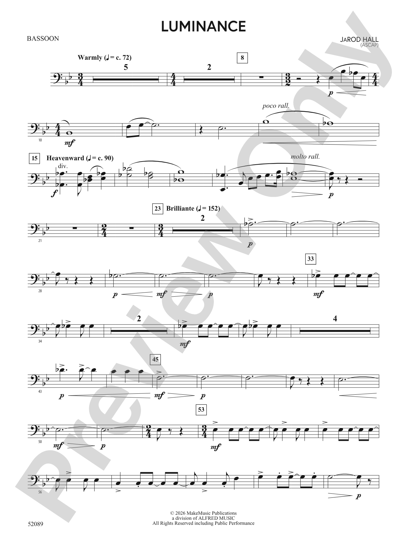 Luminance: Bassoon