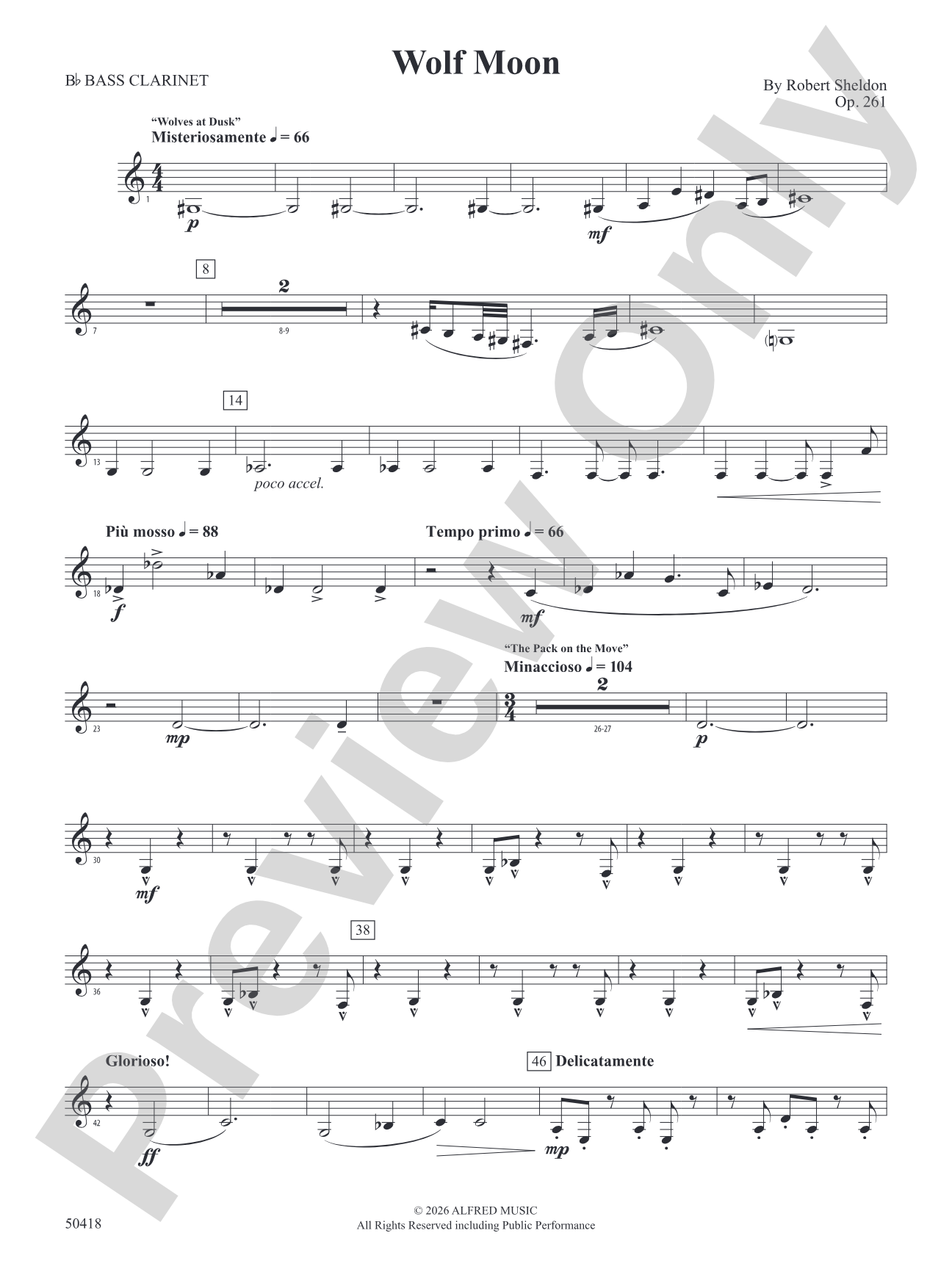 Wolf Moon: B-flat Bass Clarinet