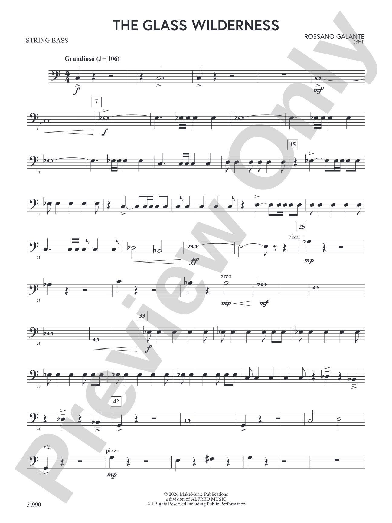 The Glass Wilderness: String Bass