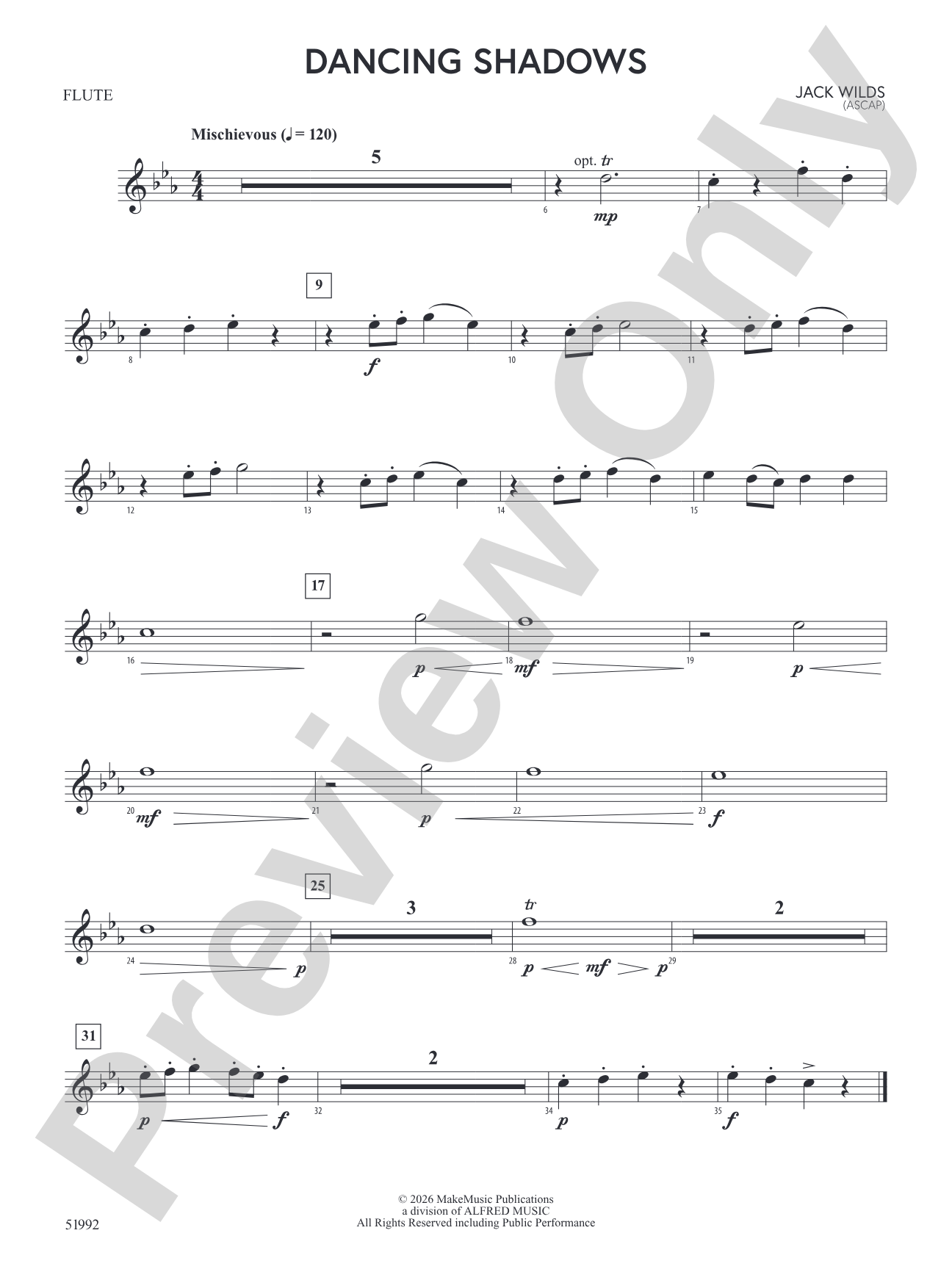 Dancing Shadows: Flute