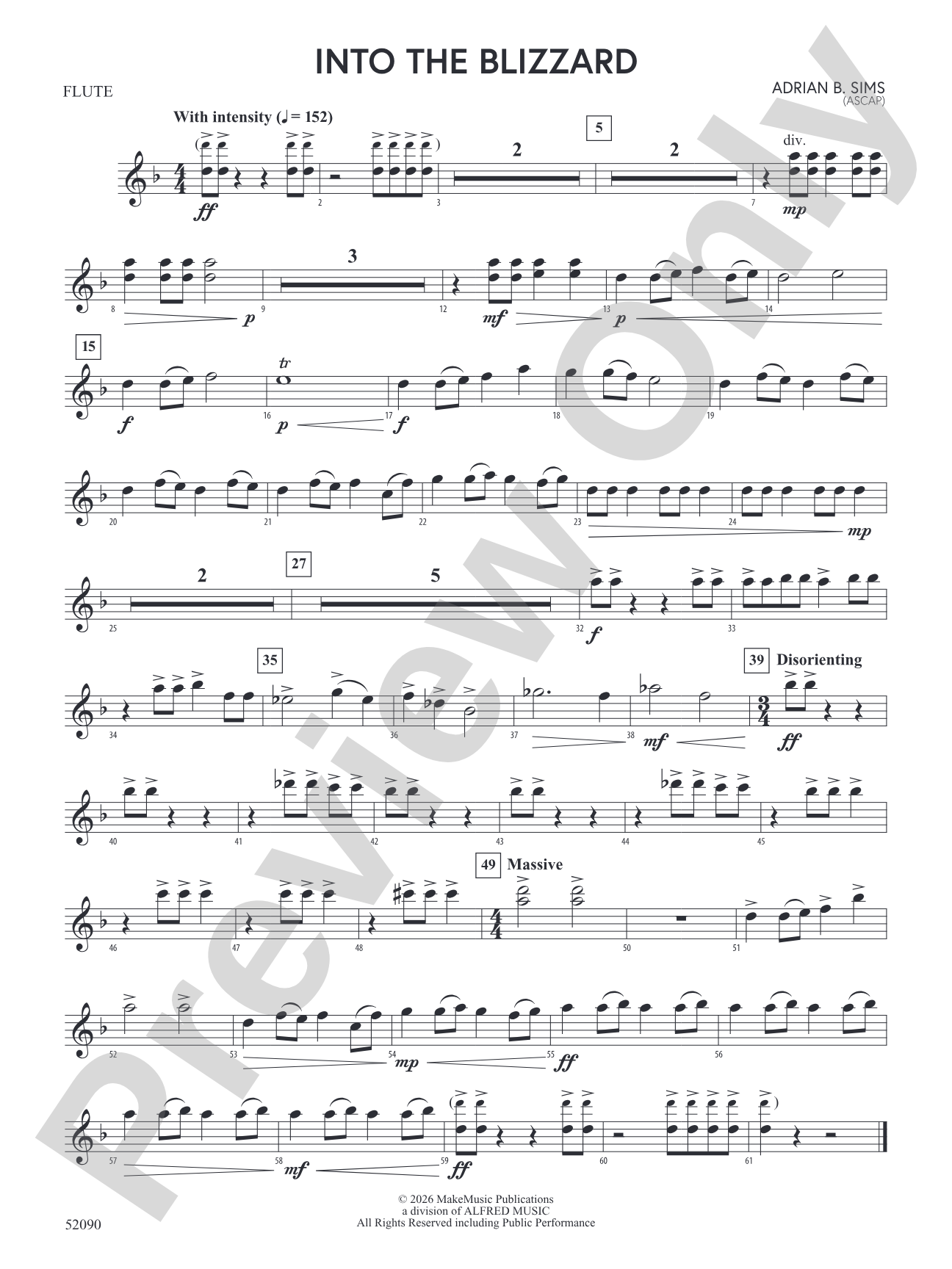 Into the Blizzard: Flute