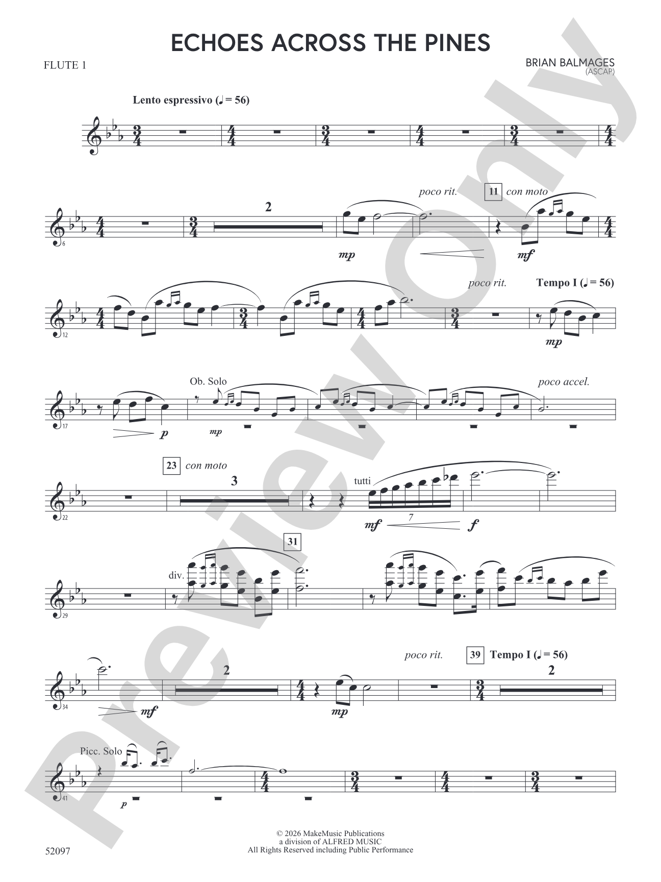 Echoes Across the Pines: Flute
