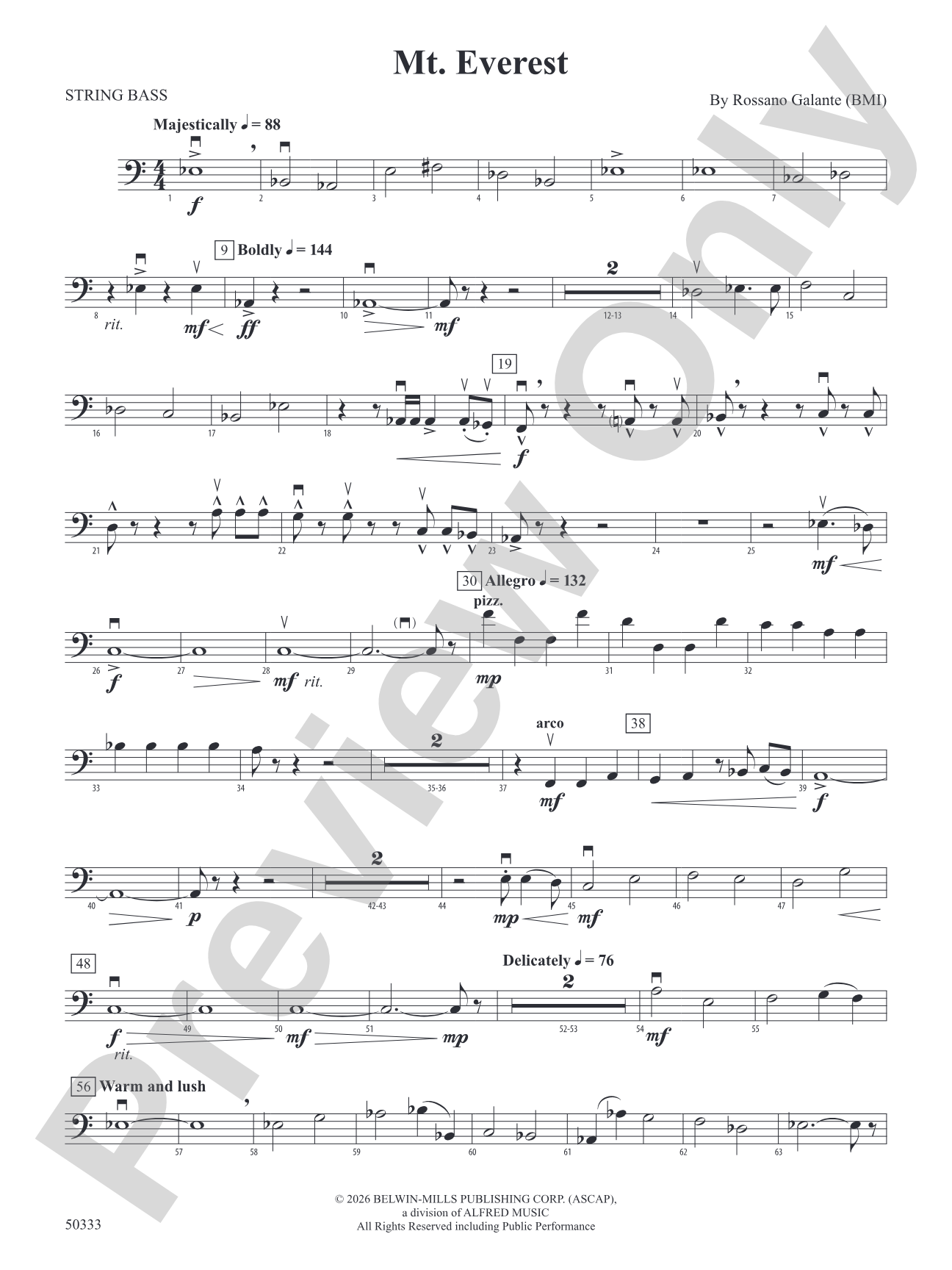 Mt. Everest: String Bass