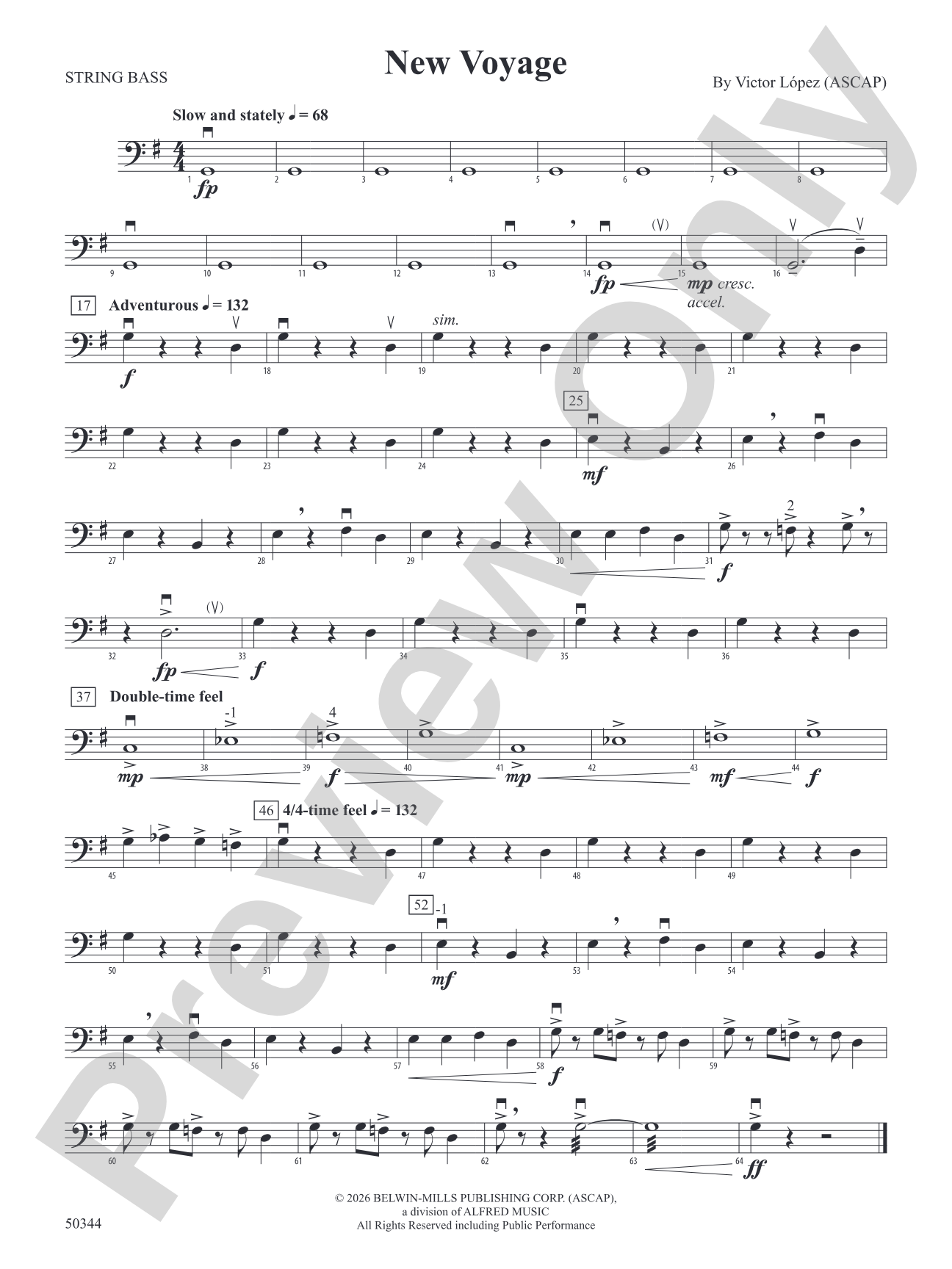 New Voyage: String Bass
