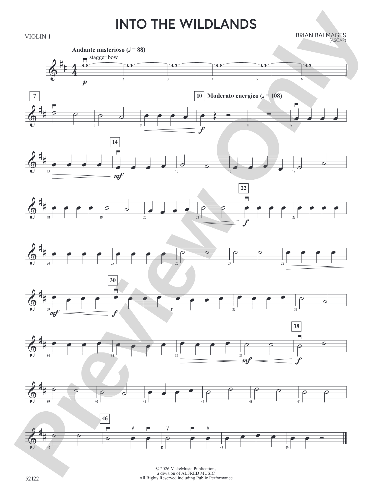 Into the Wildlands: 1st Violin