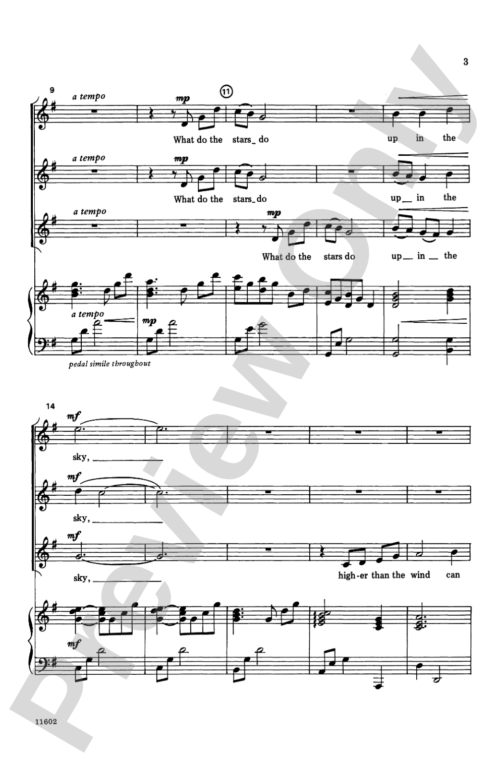 What Do the Stars Do?: SSA Choral Octavo