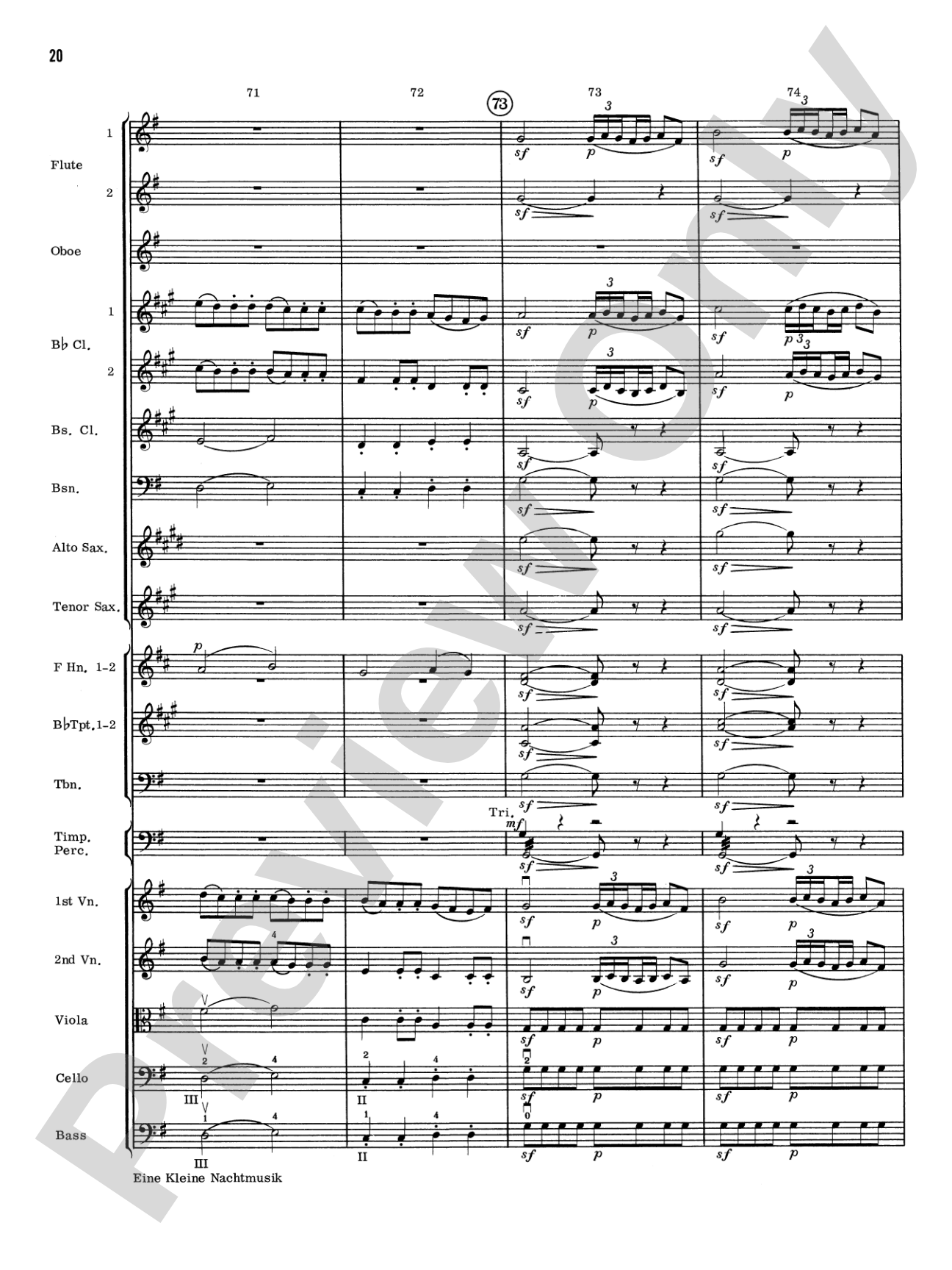 Eine Kleine Nachtmusik, 1st Movement: Full Orchestra Conductor Score & Parts