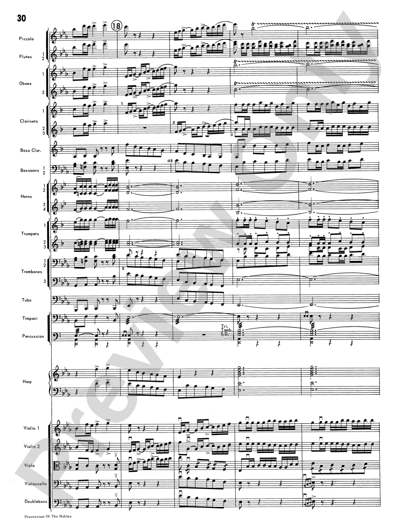 Procession of the Nobles: Full Orchestra Conductor Score & Parts
