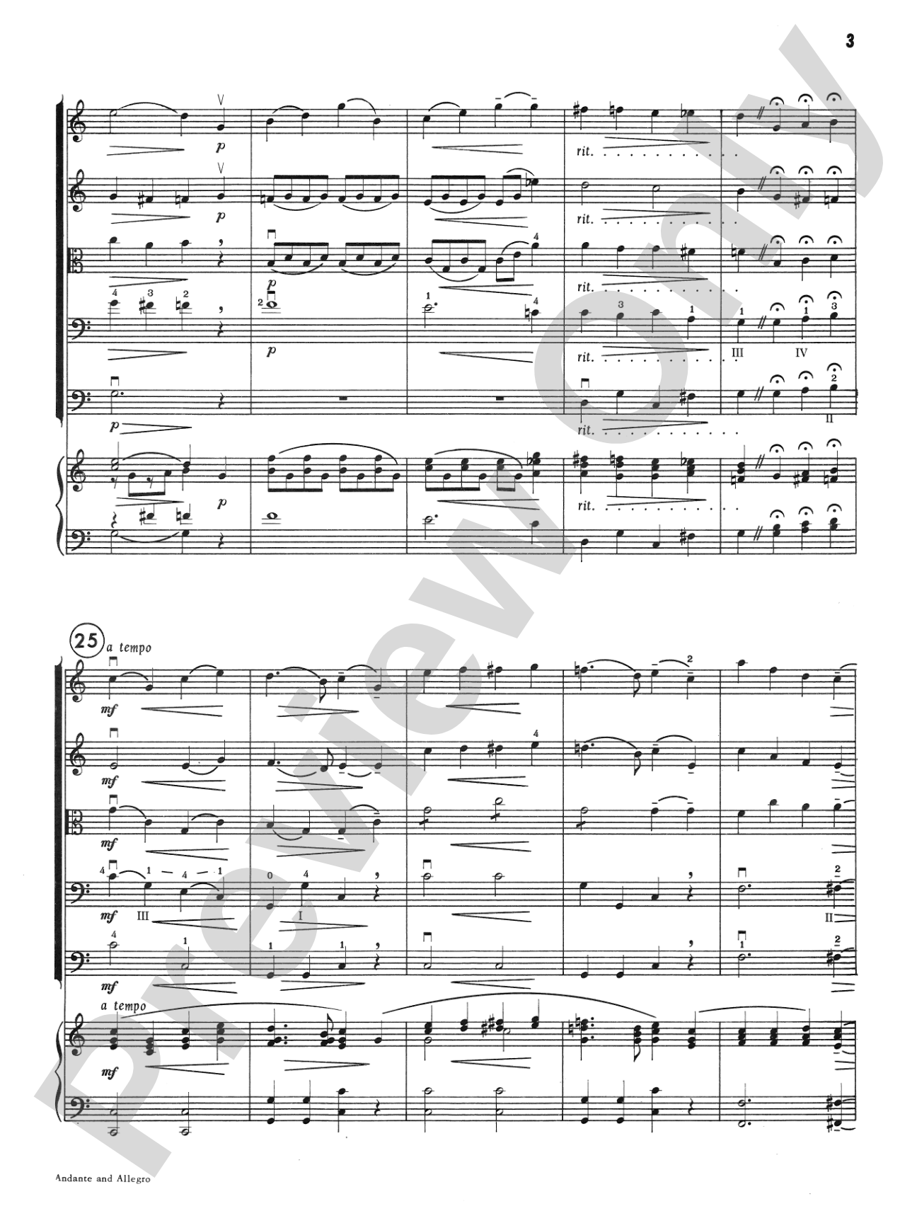 Andante and Allegro: String Orchestra Conductor Score & Parts