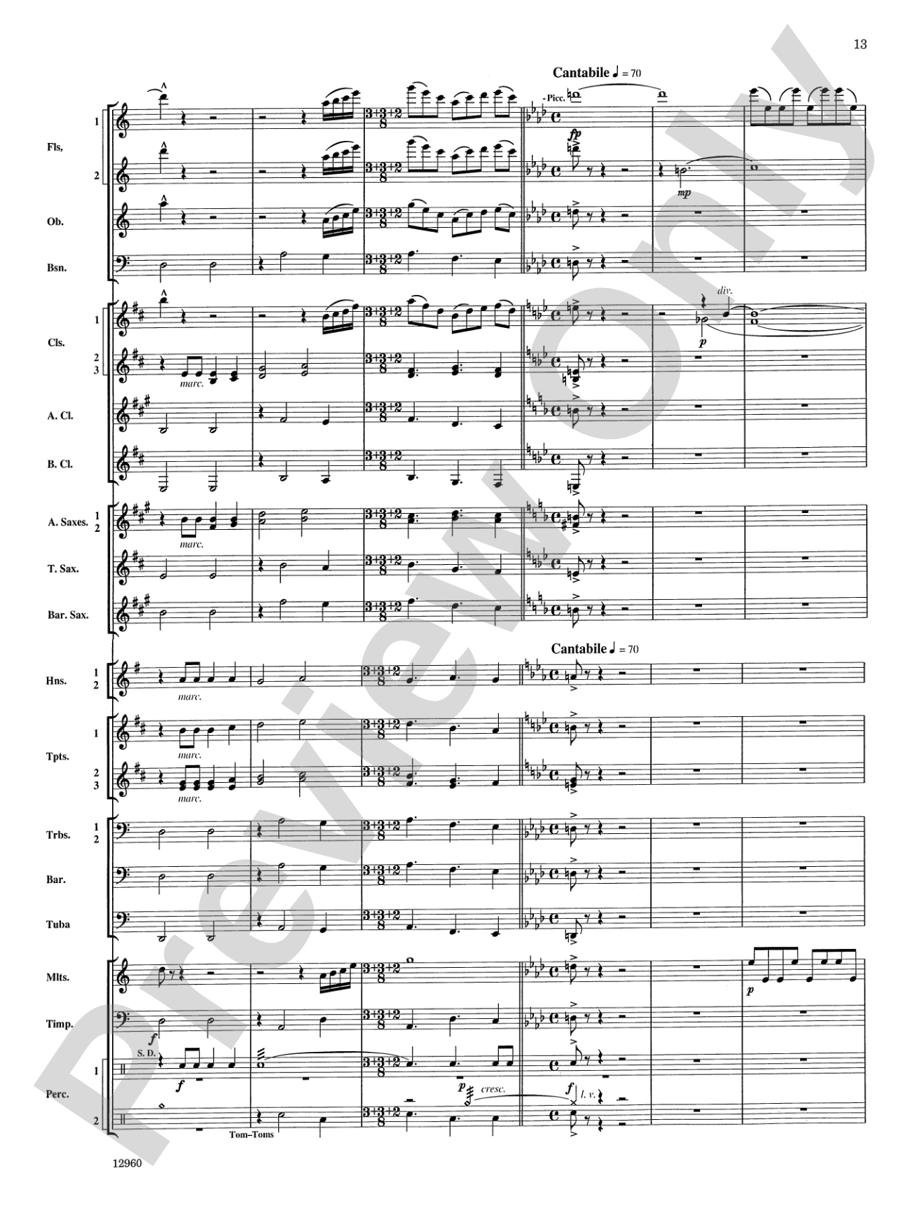 Sailing Songs: Concert Band Conductor Score & Parts