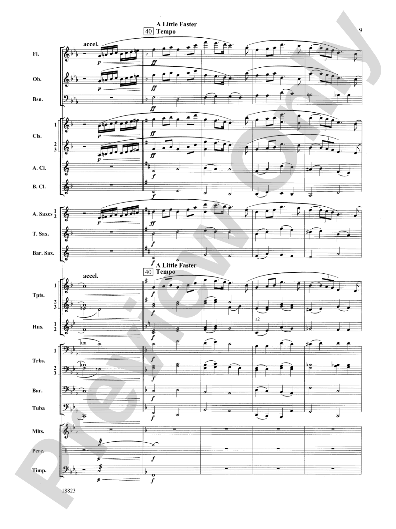 Irish Ayre for Winds: Concert Band Conductor Score & Parts