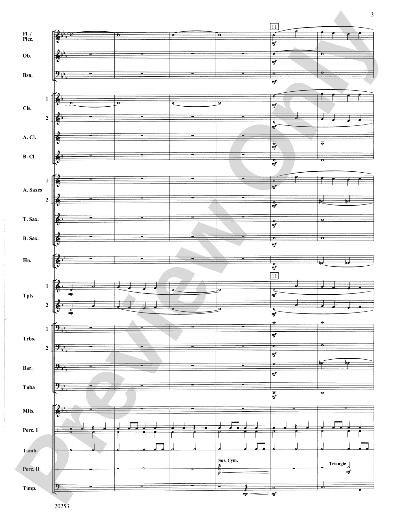 Garden of the Black Rose: Concert Band Conductor Score & Parts