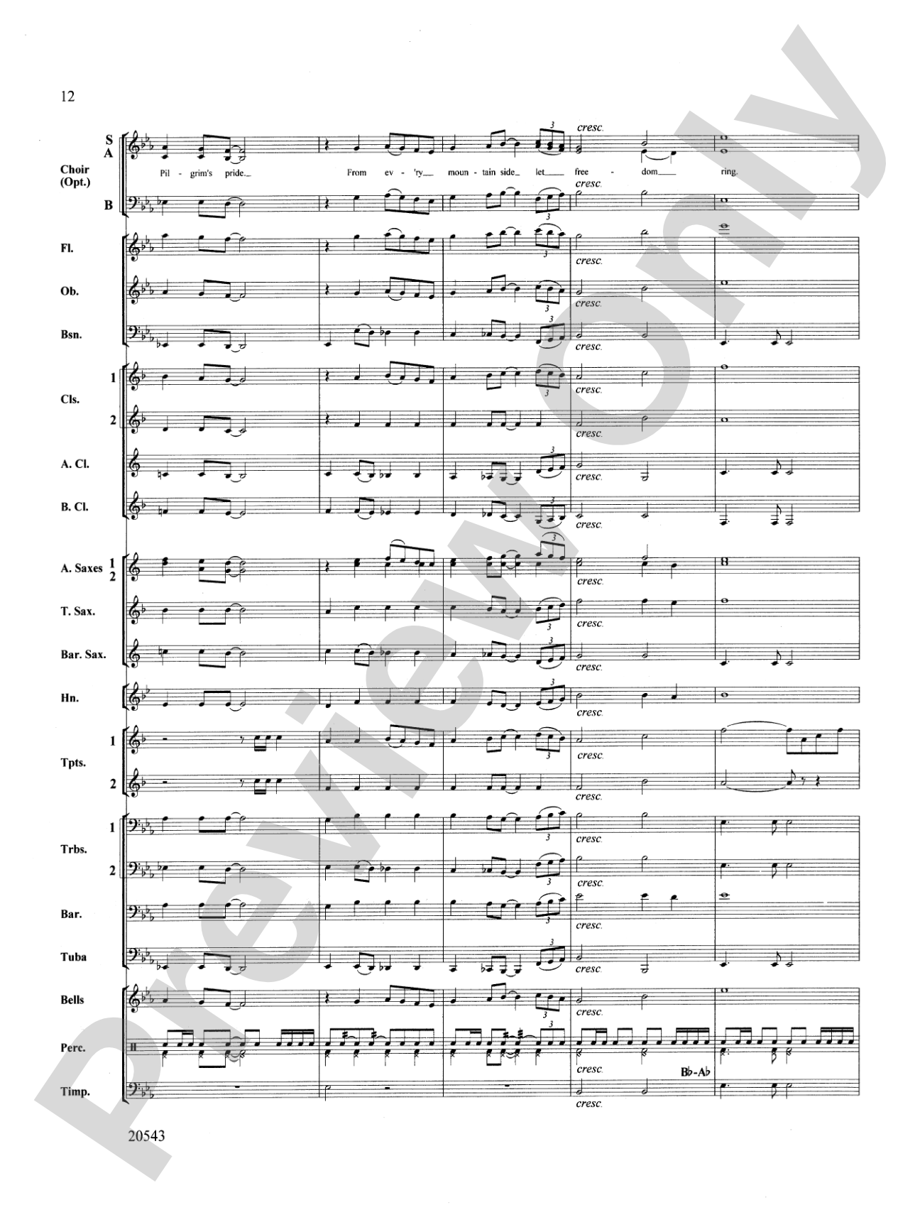 United We Stand (An American Medley): Concert Band Conductor Score & Parts