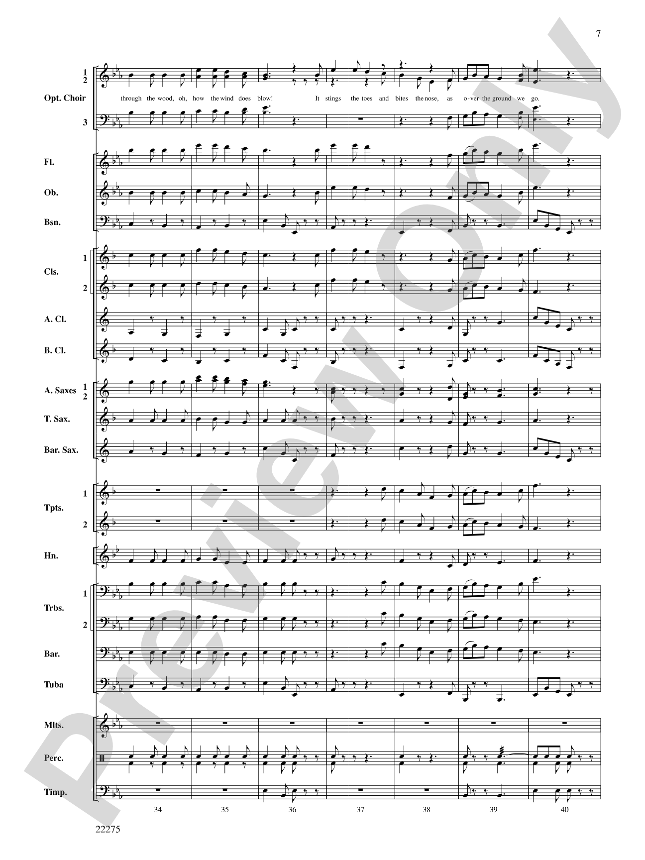 Christmas, Here We Come!: Concert Band Conductor Score & Parts