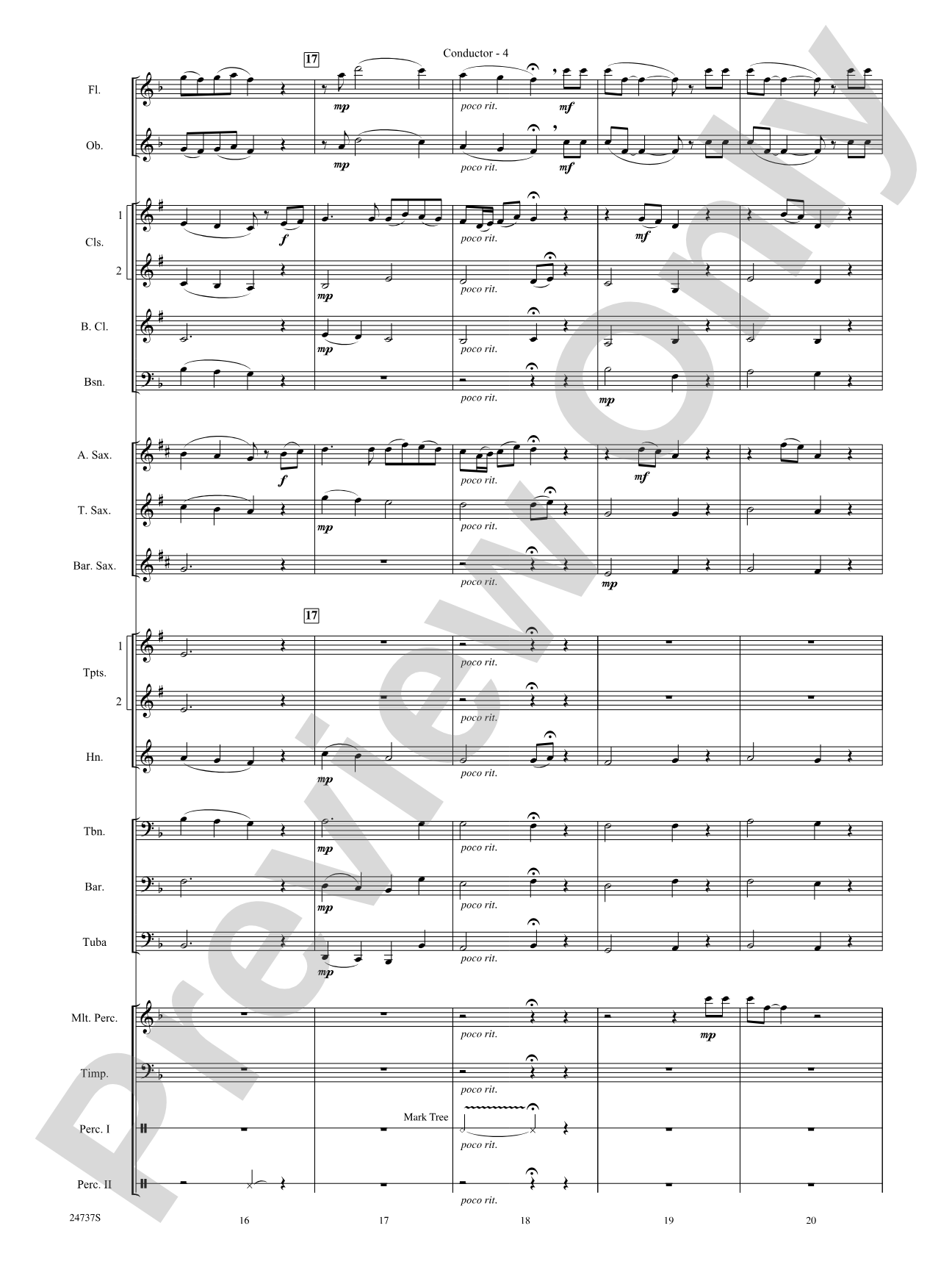 On the Wings of an Eagle: Concert Band Conductor Score & Parts