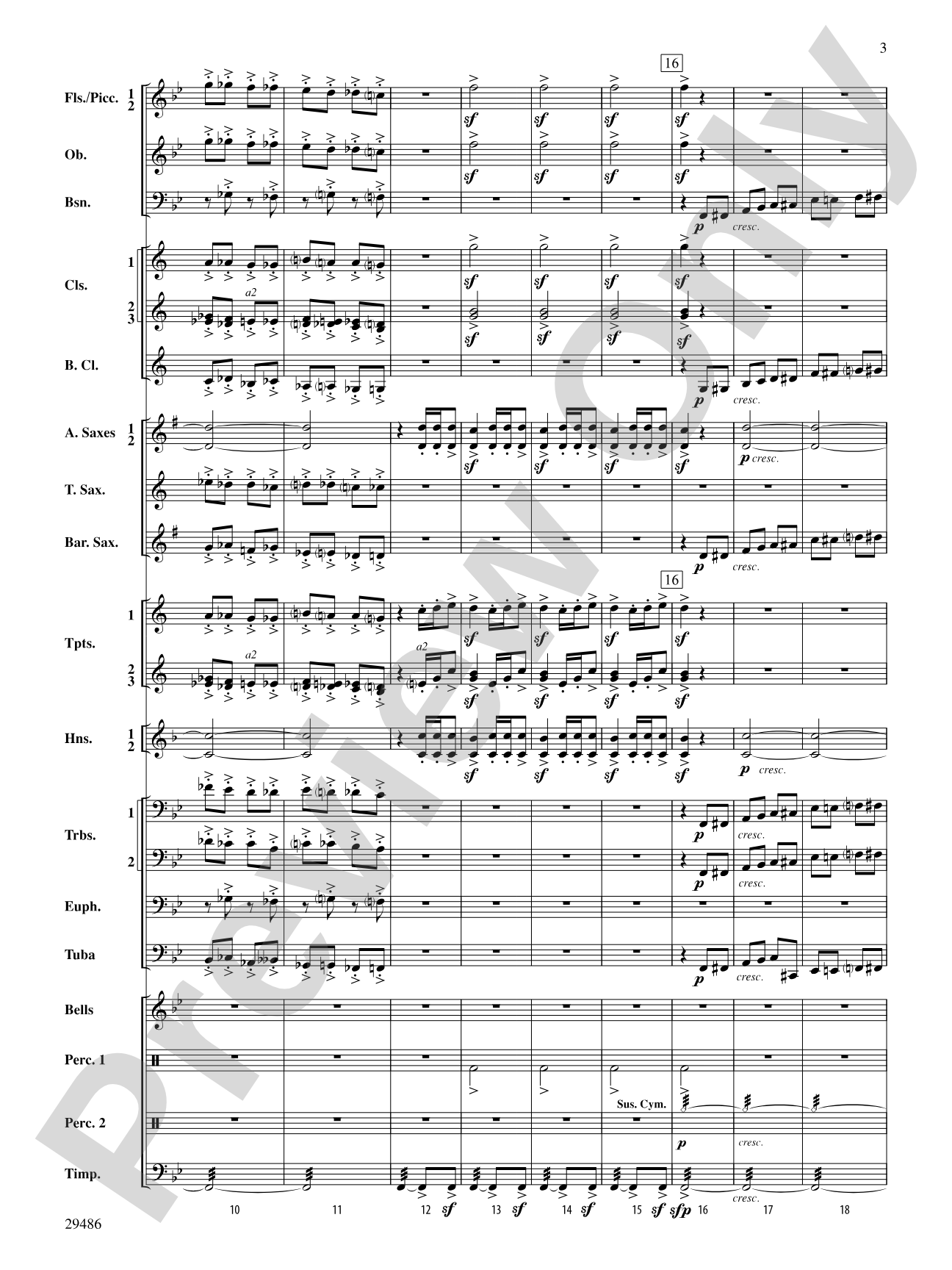 Polka from The Bartered Bride: Concert Band Conductor Score & Parts