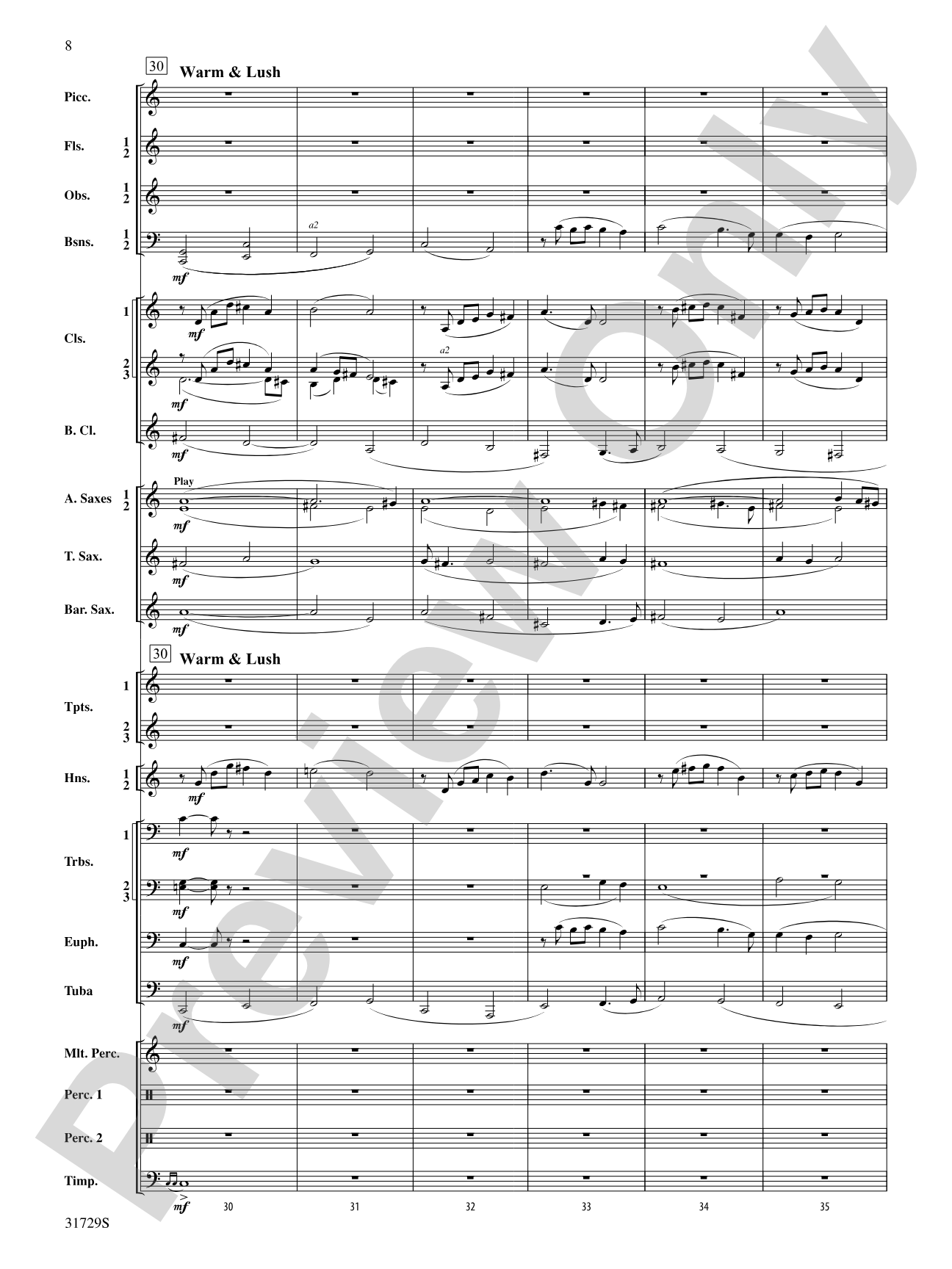 Beyond the Horizon: Concert Band Conductor Score & Parts
