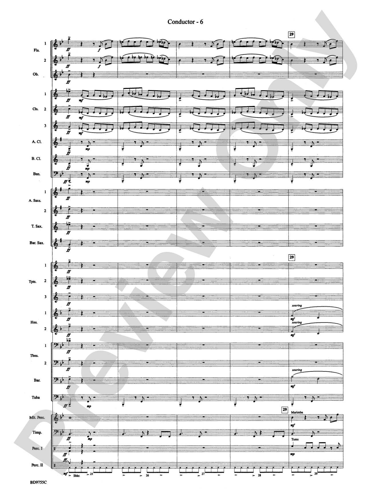 The Maelstrom: Concert Band Conductor Score & Parts