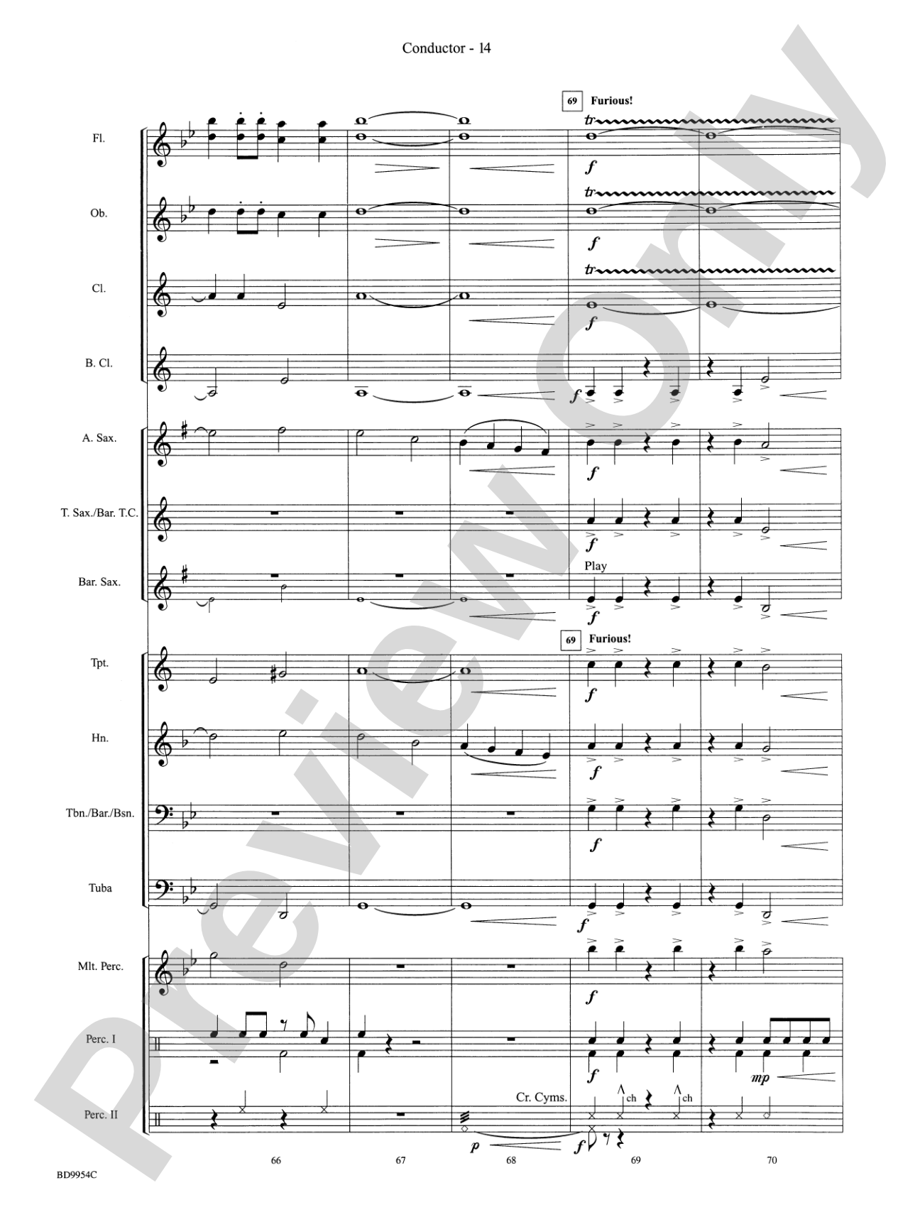 The Sound and the Fury: Concert Band Conductor Score & Parts