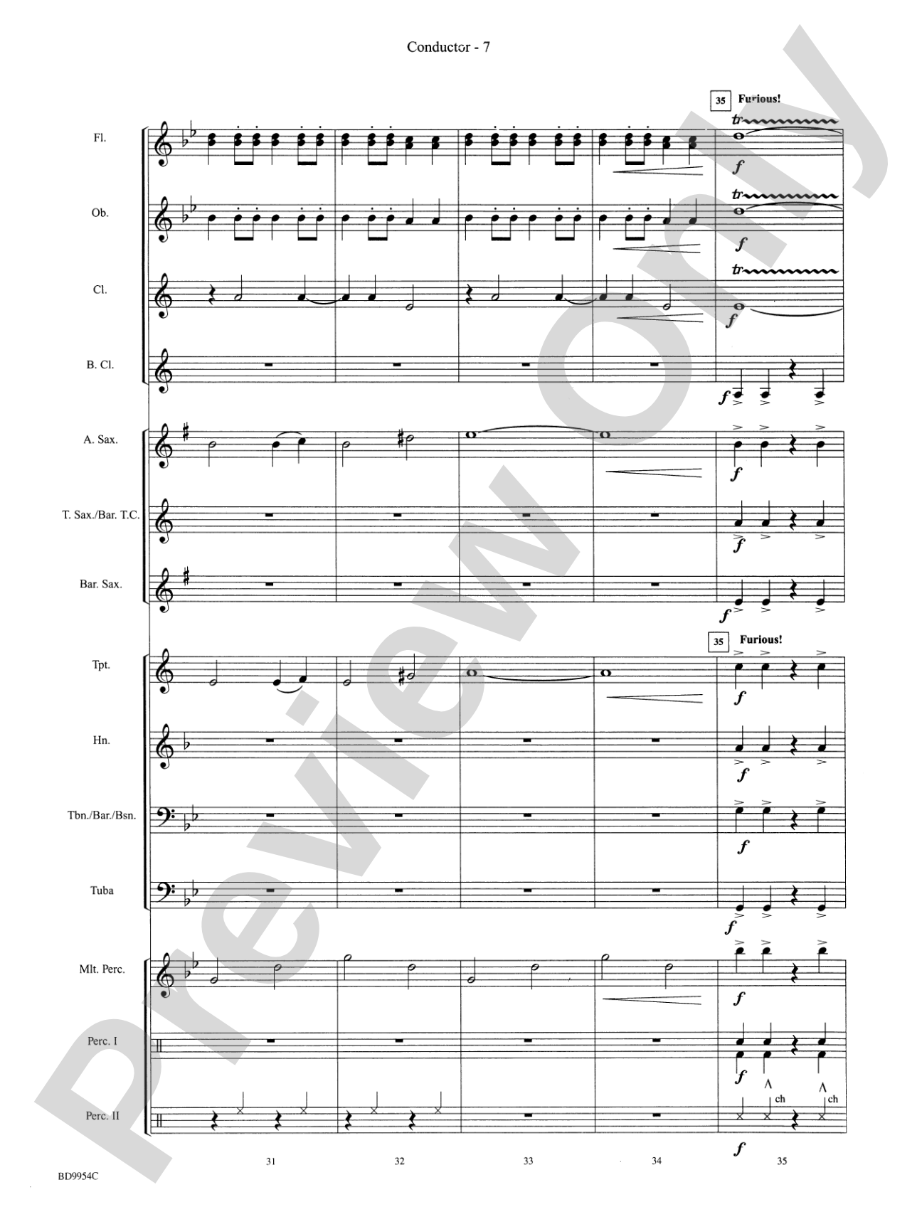 The Sound and the Fury: Concert Band Conductor Score & Parts