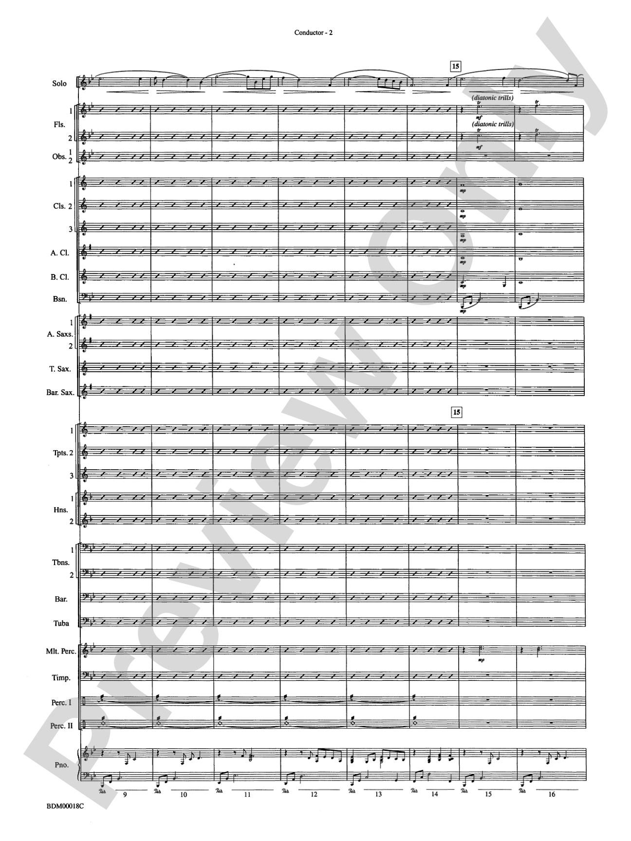 In a Gentle Rain: Concert Band Conductor Score & Parts