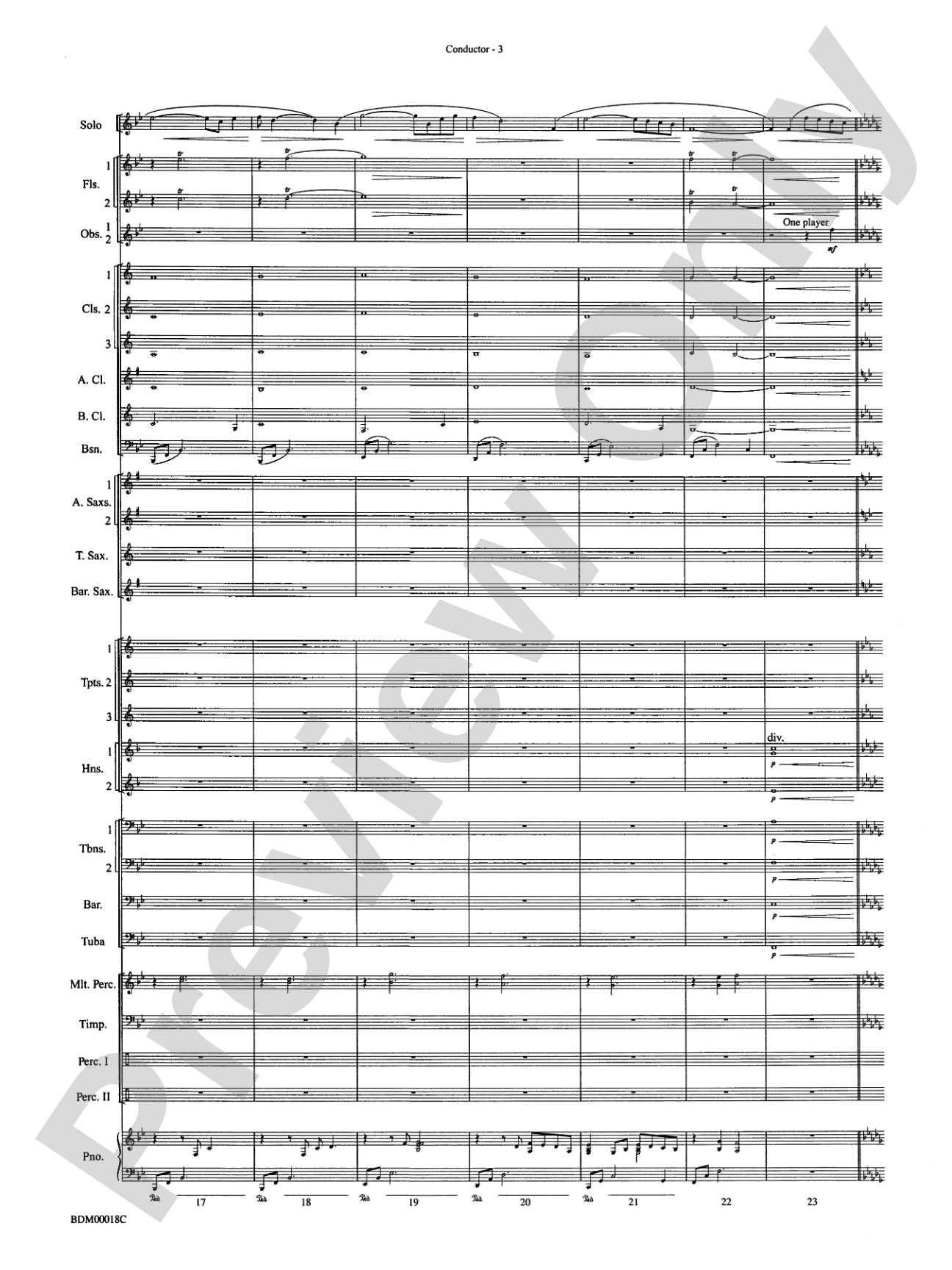 In a Gentle Rain: Concert Band Conductor Score & Parts