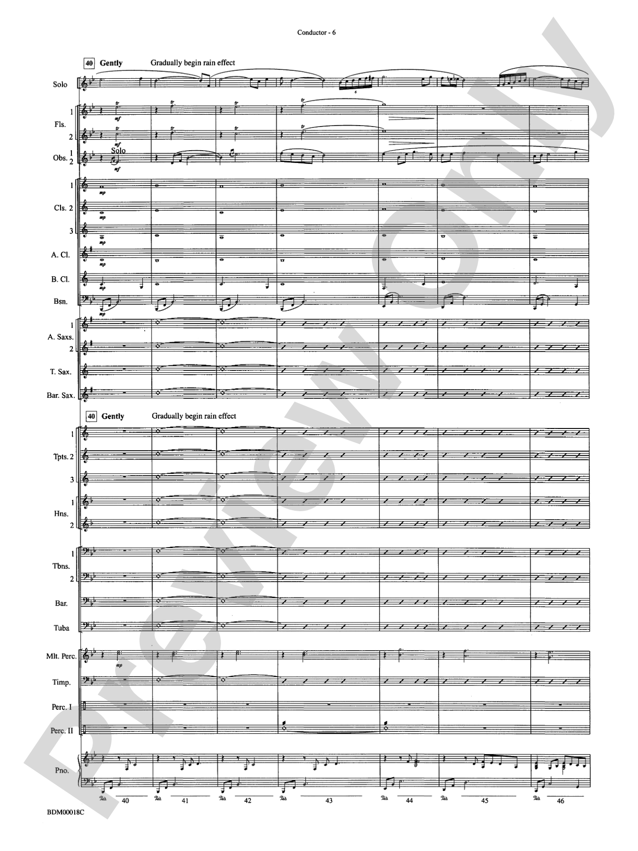 In a Gentle Rain: Concert Band Conductor Score & Parts