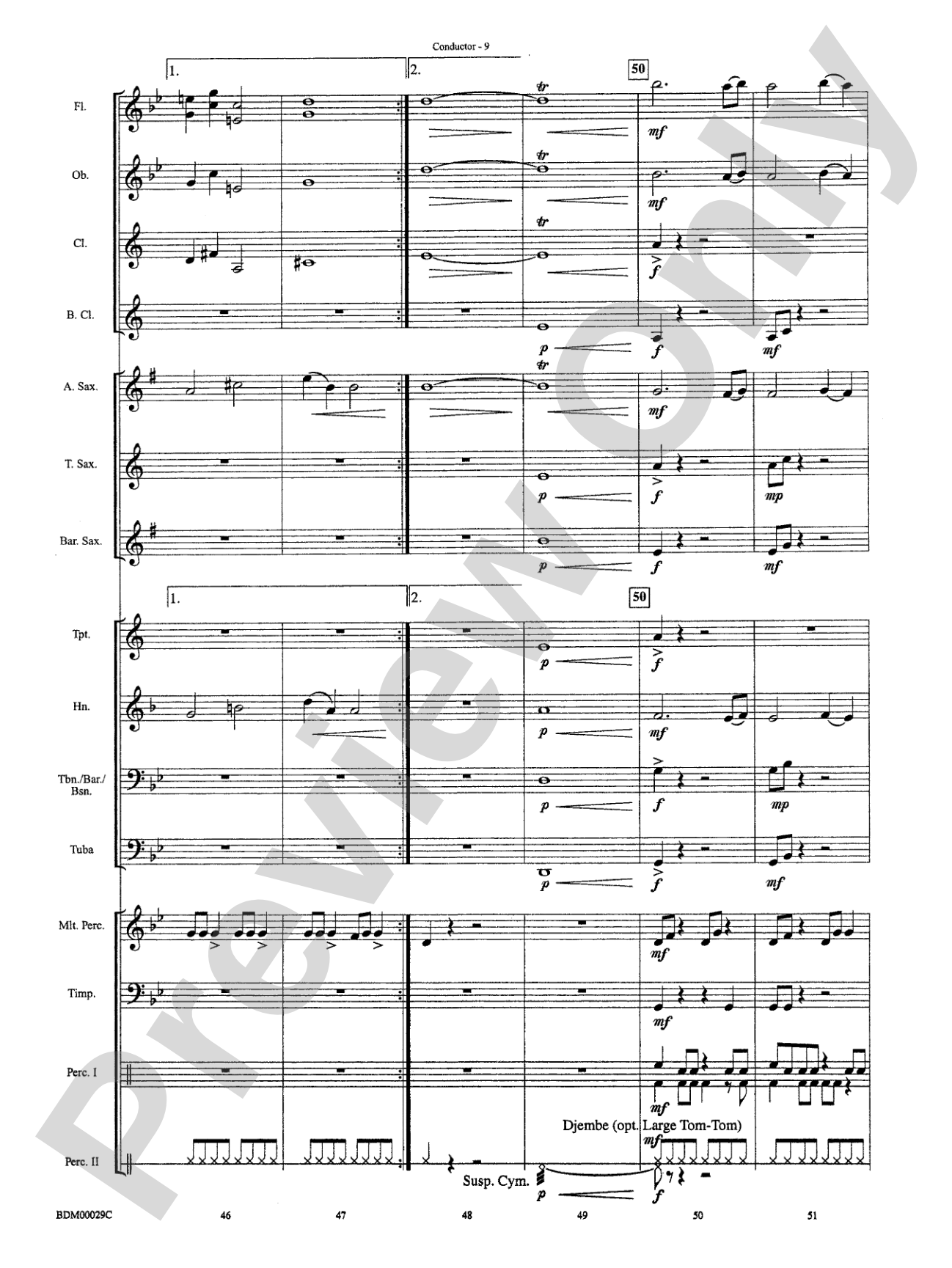 Serengeti Dreams: Concert Band Conductor Score & Parts