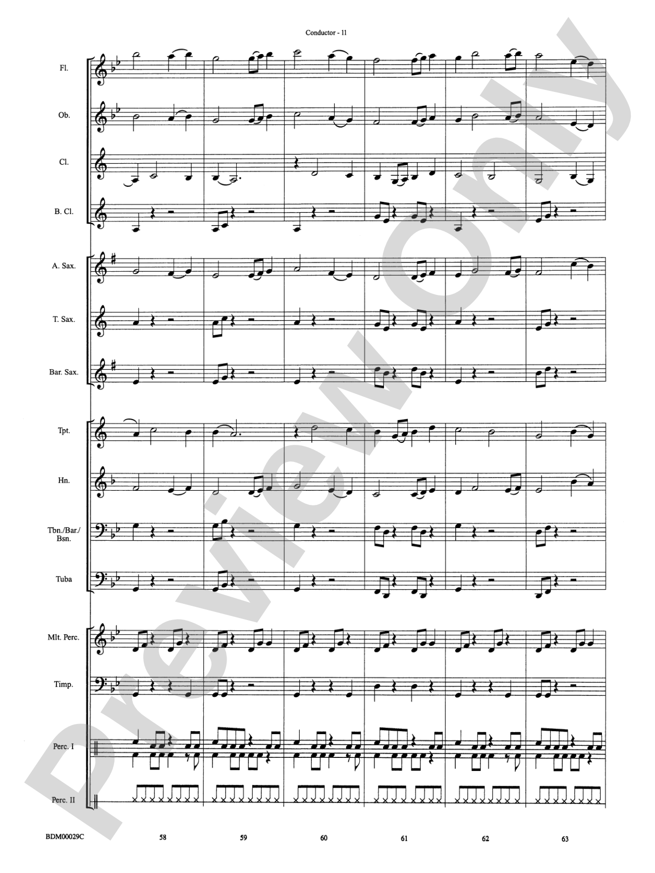 Serengeti Dreams: Concert Band Conductor Score & Parts