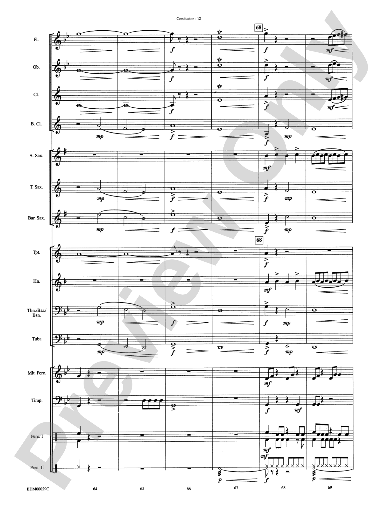 Serengeti Dreams: Concert Band Conductor Score & Parts
