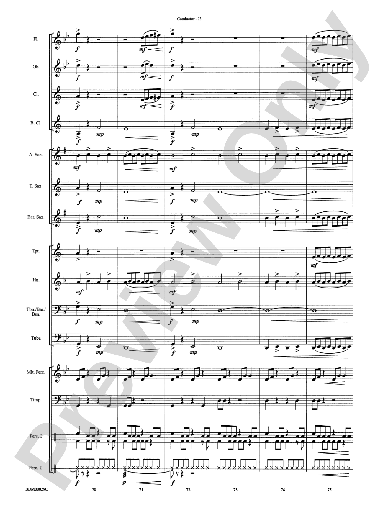 Serengeti Dreams: Concert Band Conductor Score & Parts