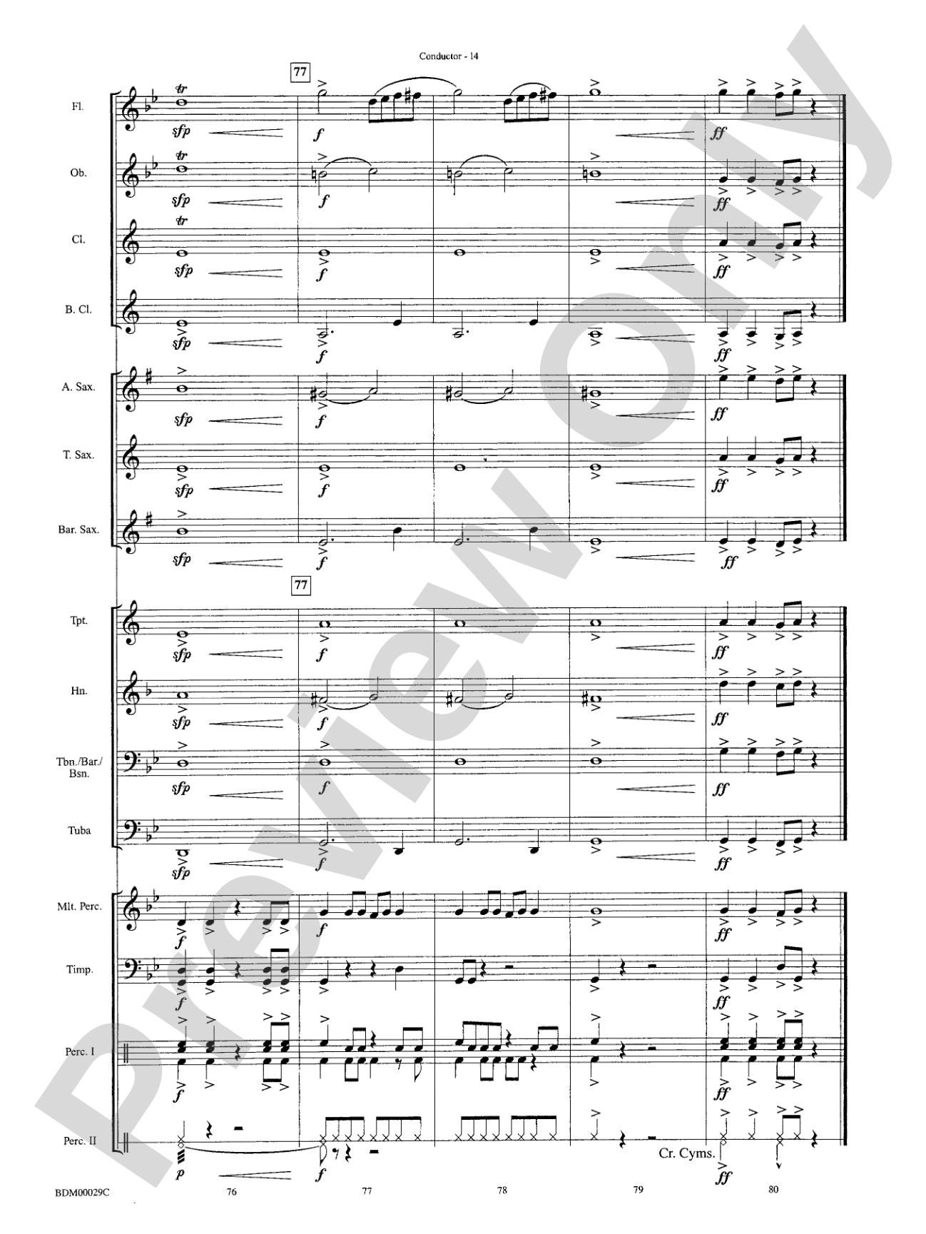 Serengeti Dreams: Concert Band Conductor Score & Parts